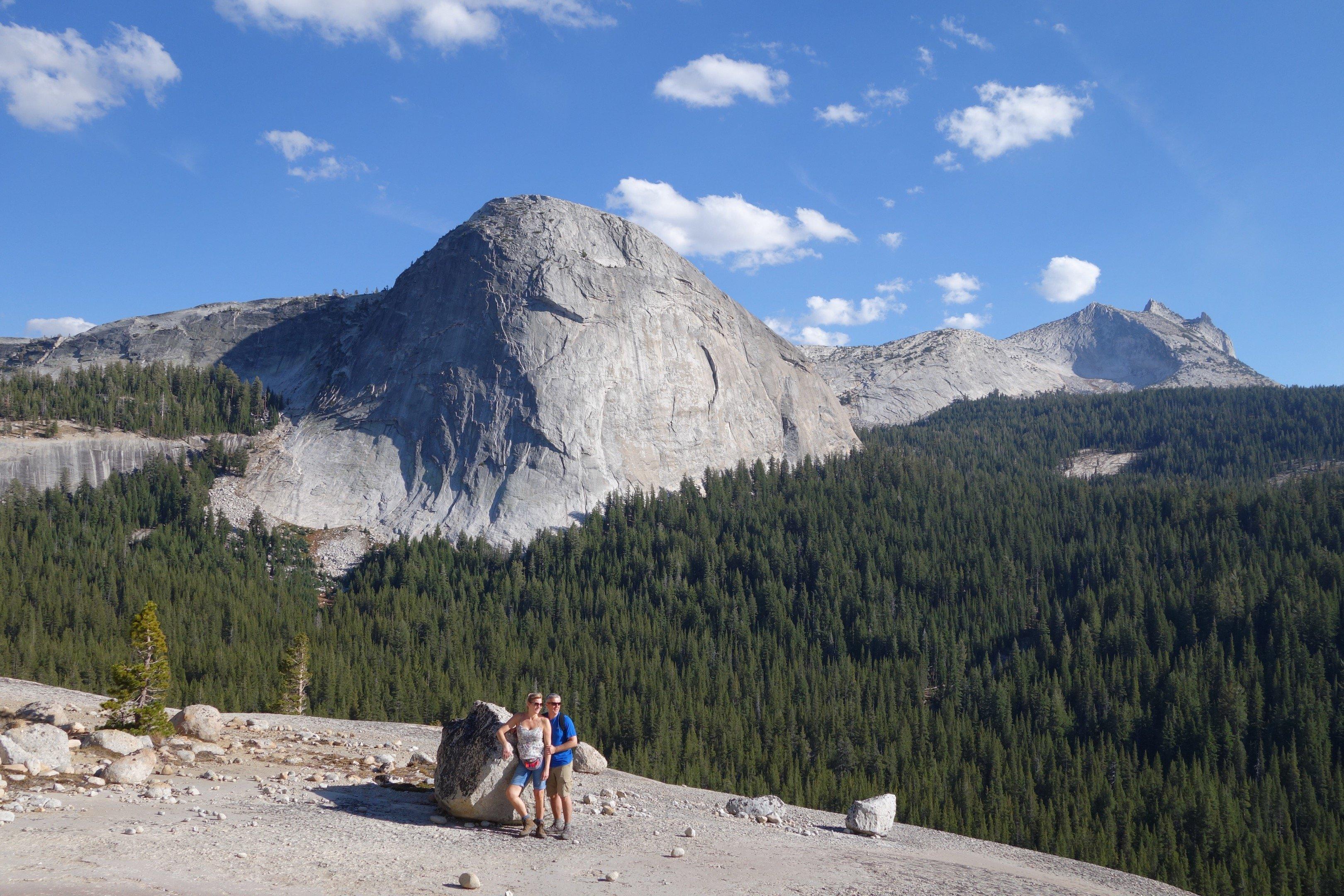 Wild Yosemite