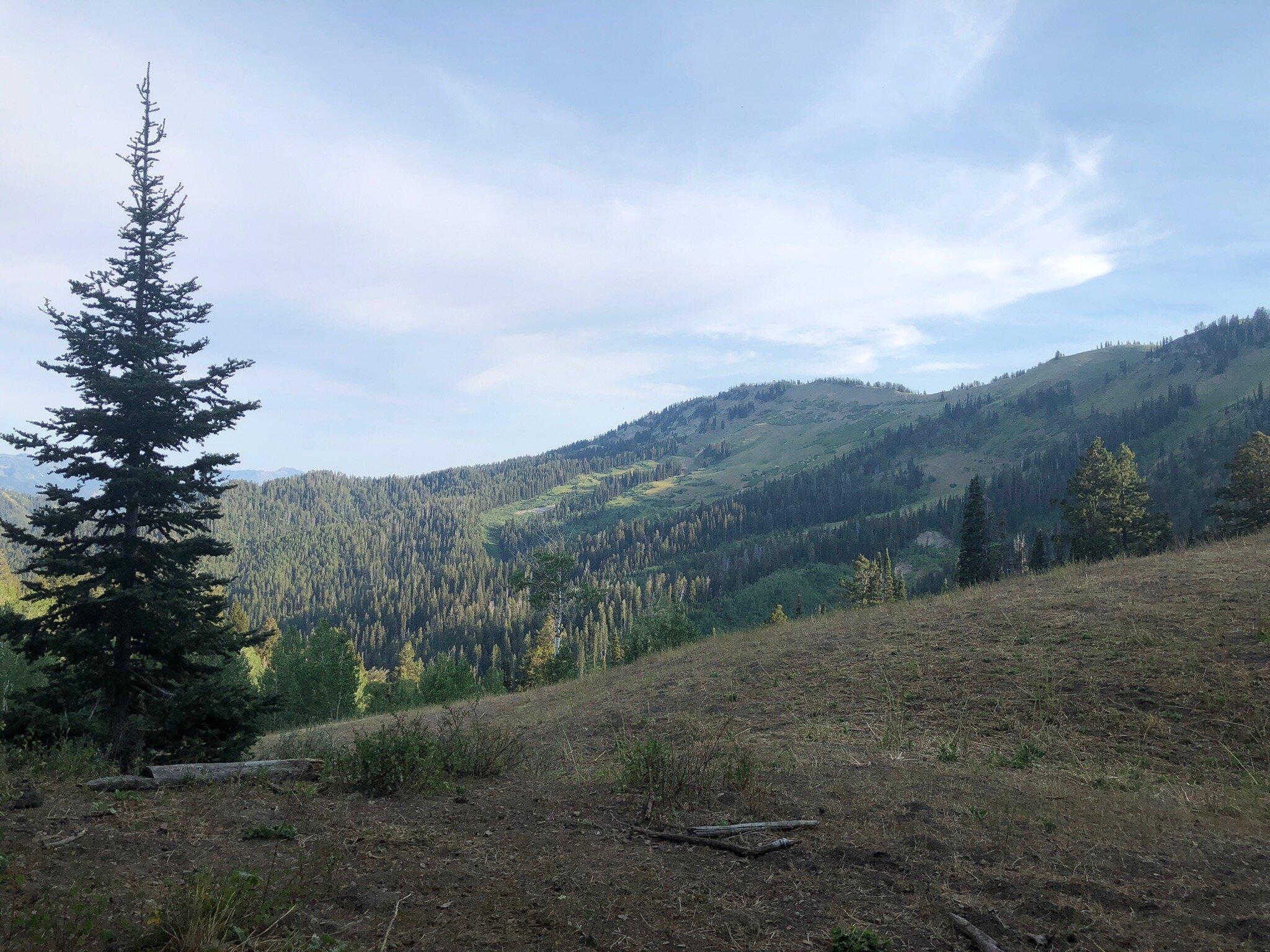 Cabin Creek Trail Head