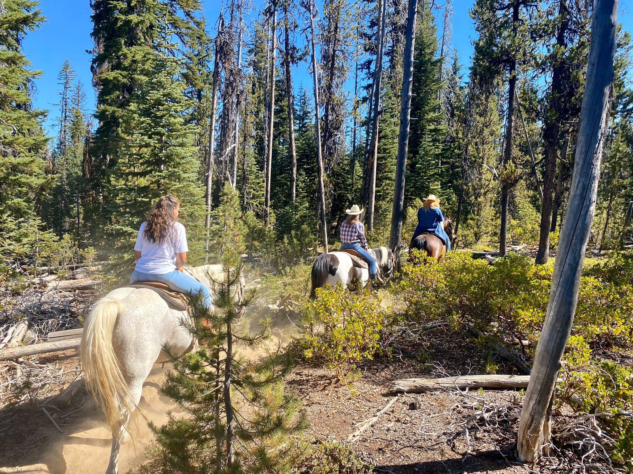 Diamond Lake Corrals