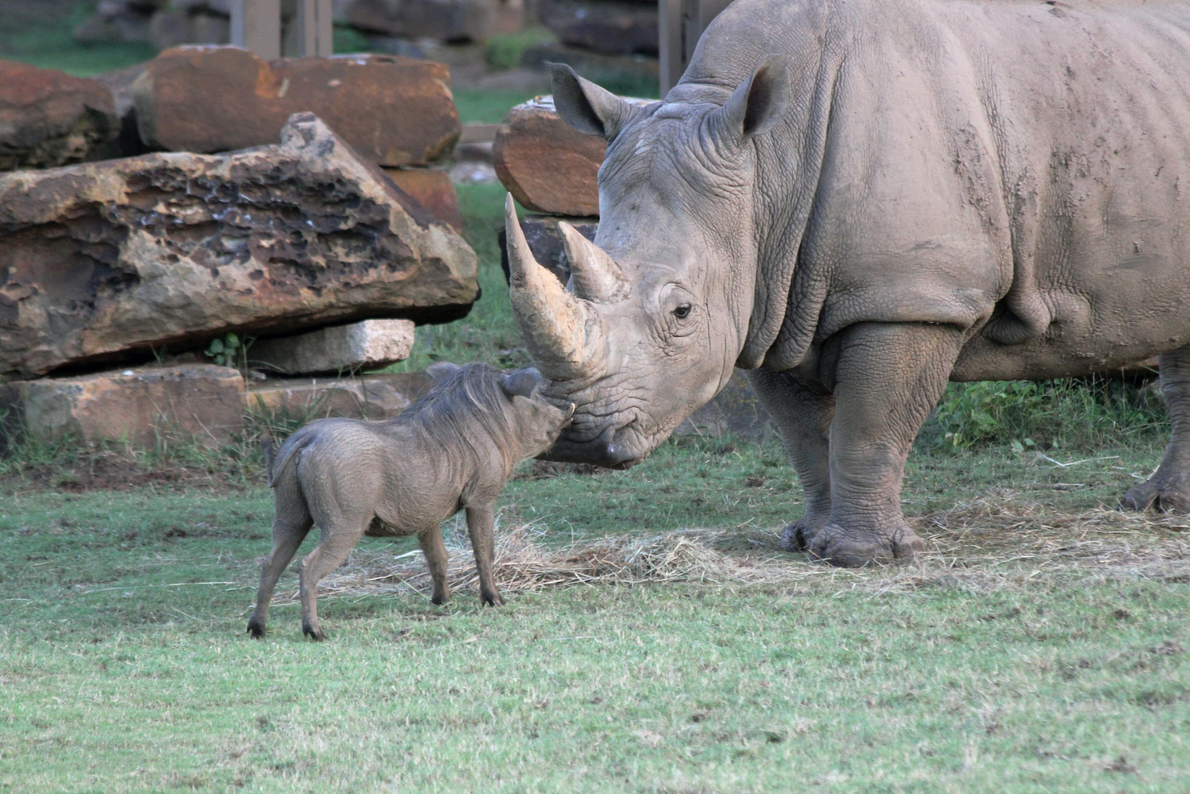 Tulsa Zoo