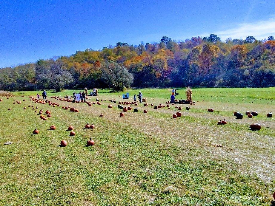 Schramm Farms & Orchards