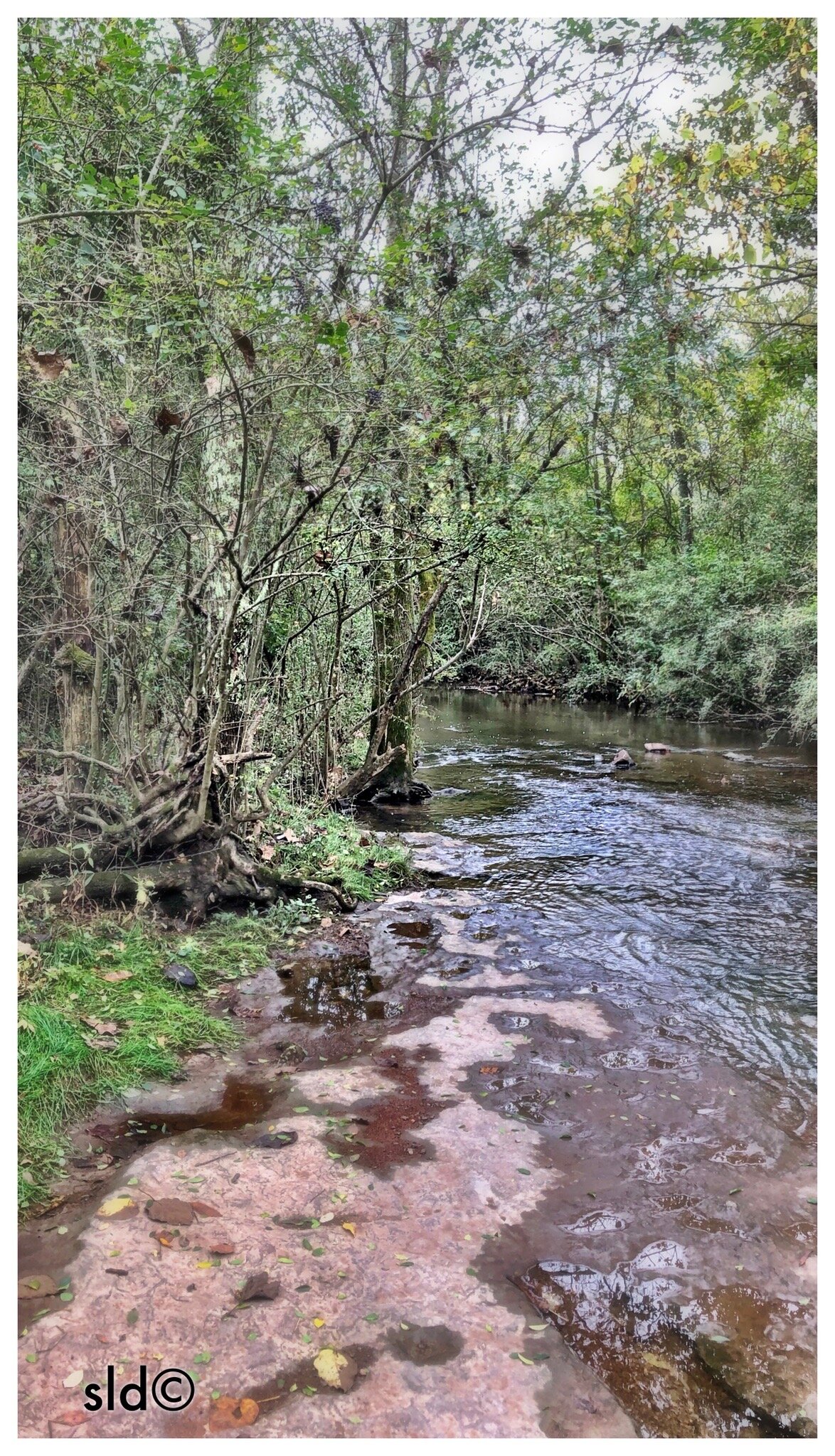 Erwin Park