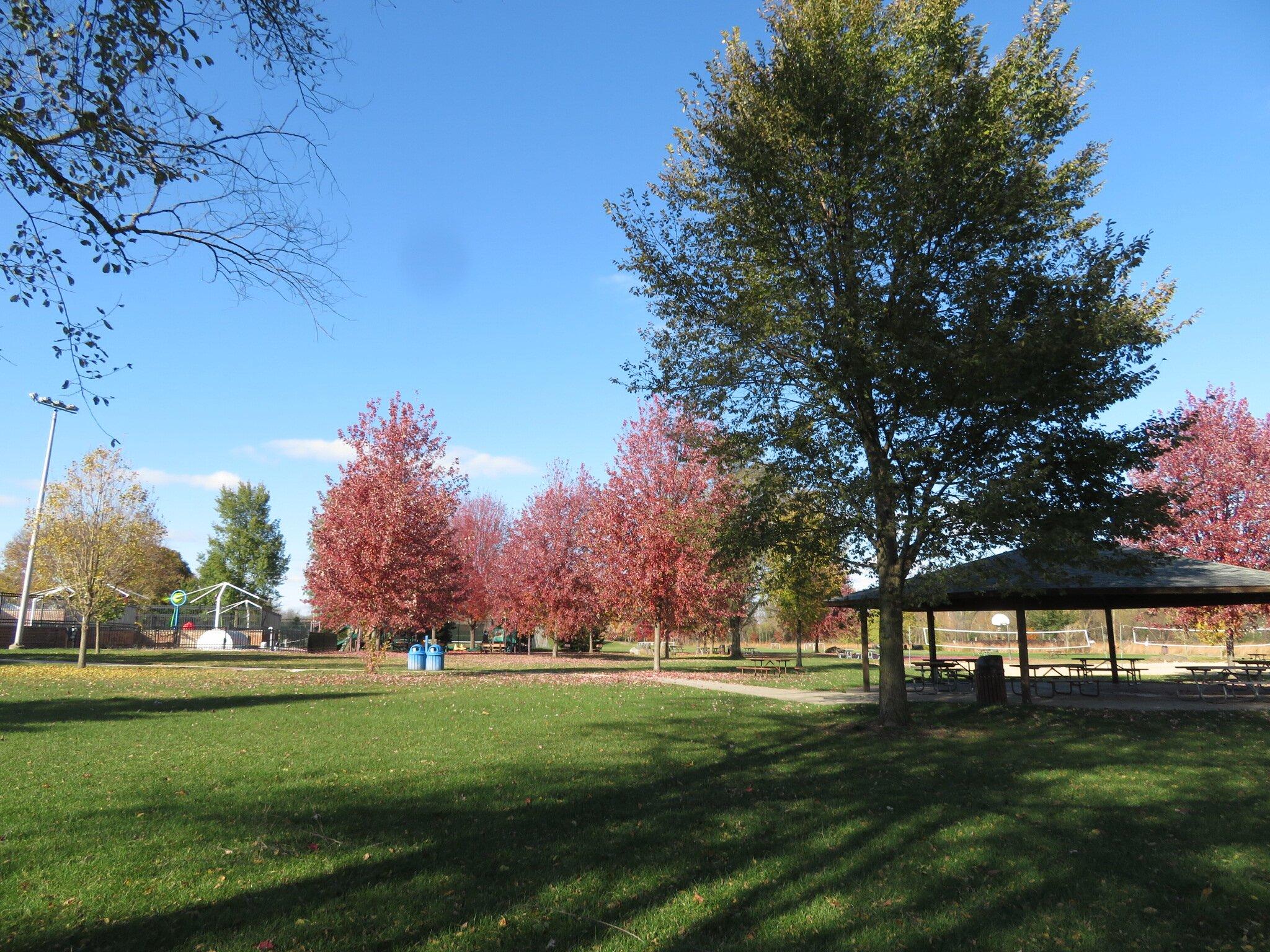 Elm Grove Public Library