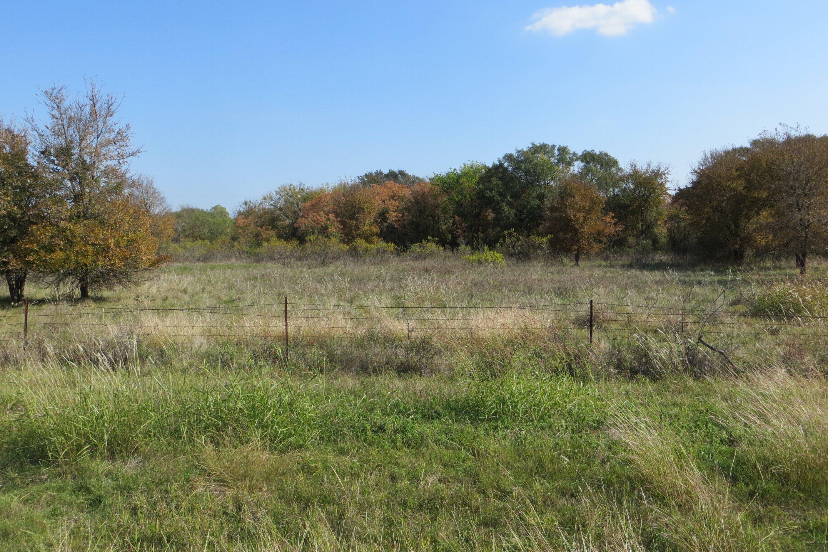 White Flint Wildlife Management Area