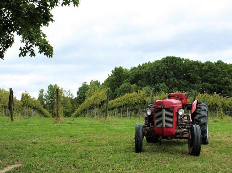 Silver Crest Cellars