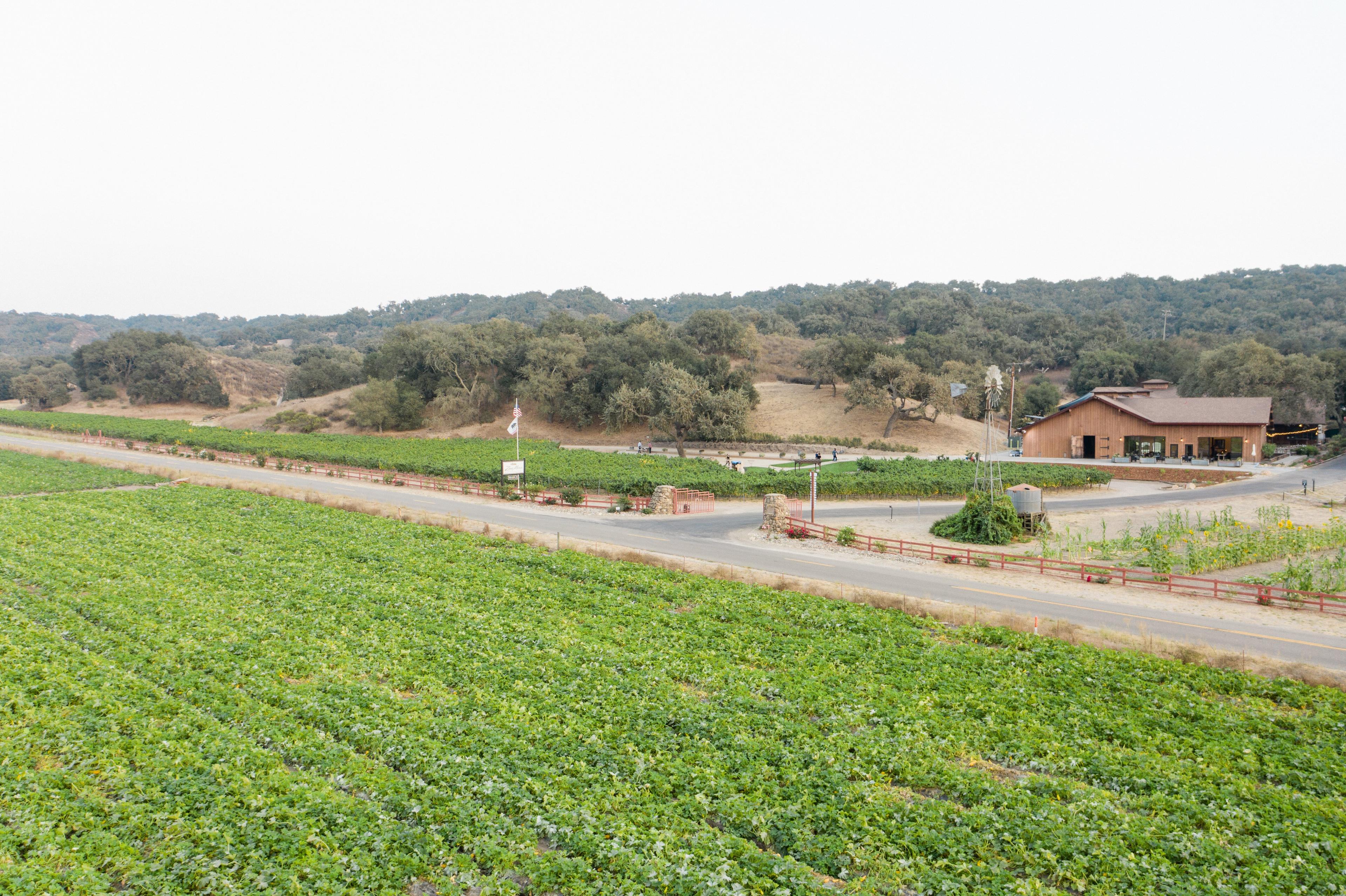 Zaca Mesa Winery