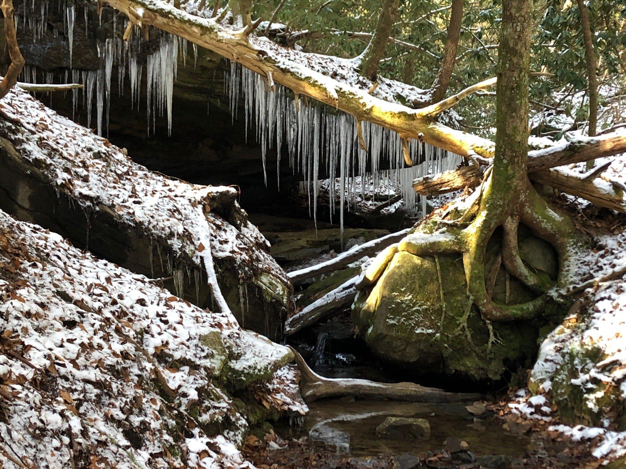 Eagle Falls