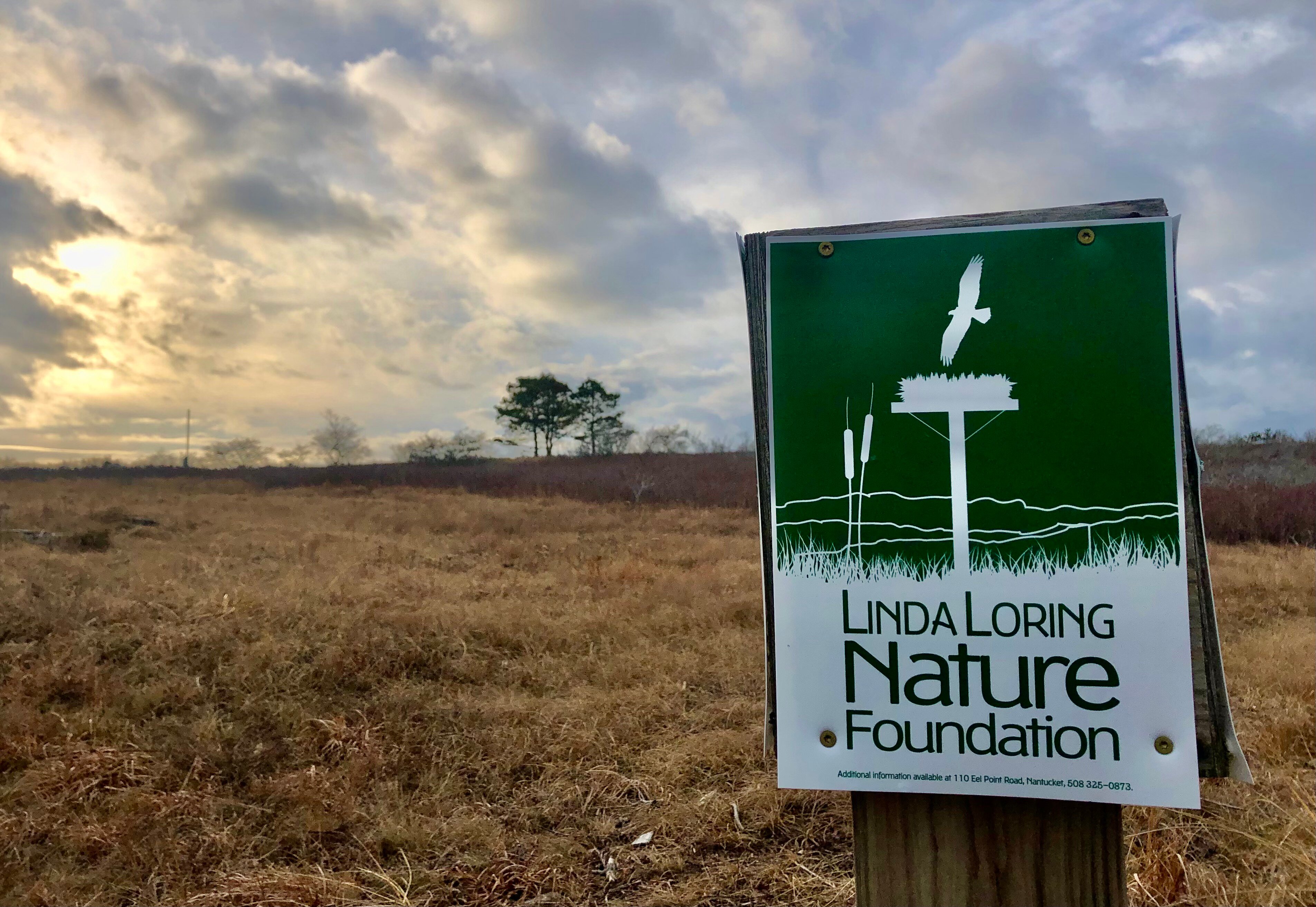 Linda Loring Nature Foundation