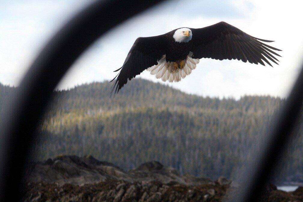 Adventure Ketchikan Tours