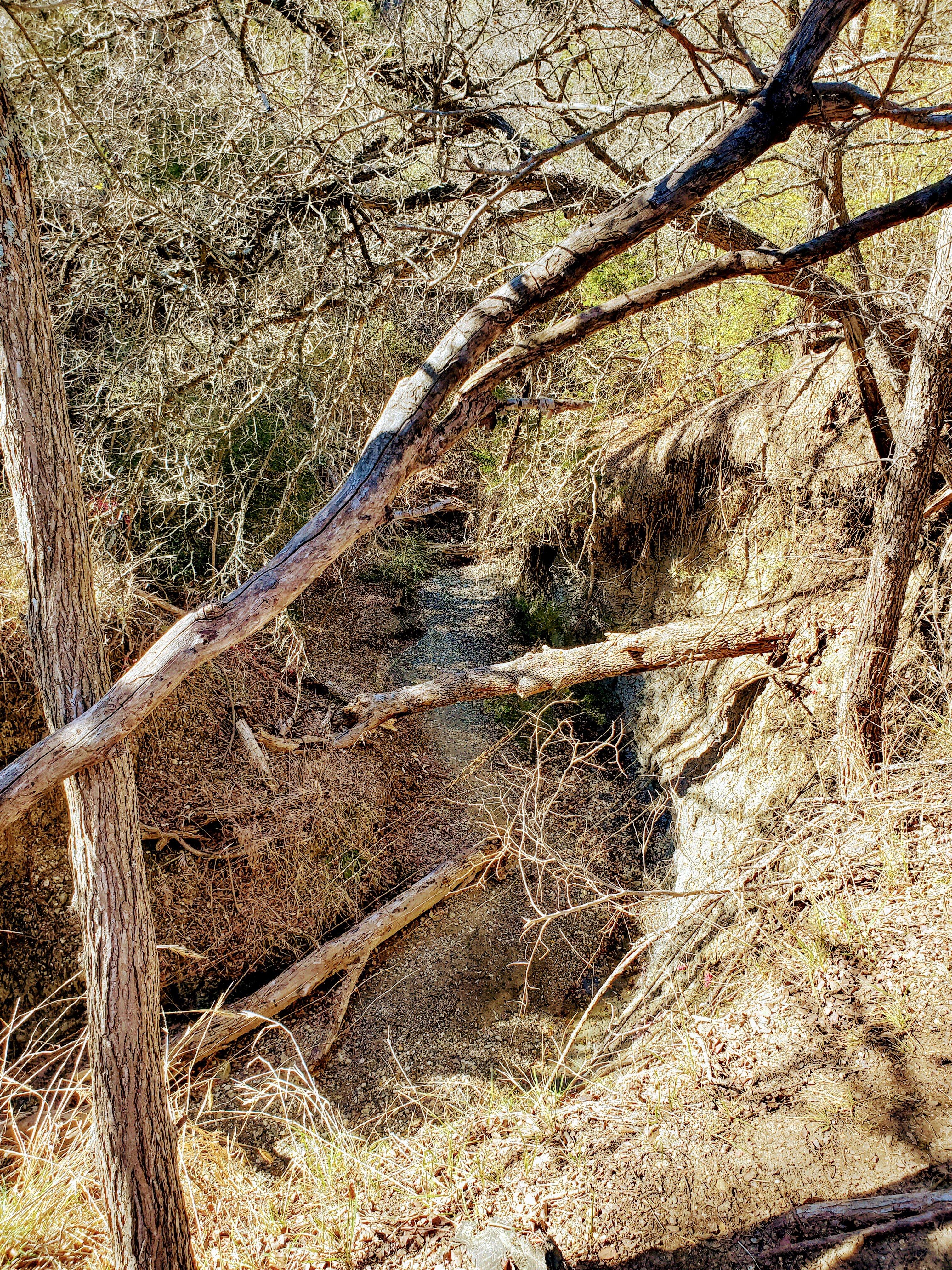 Cedar Mountain Nature Preserve