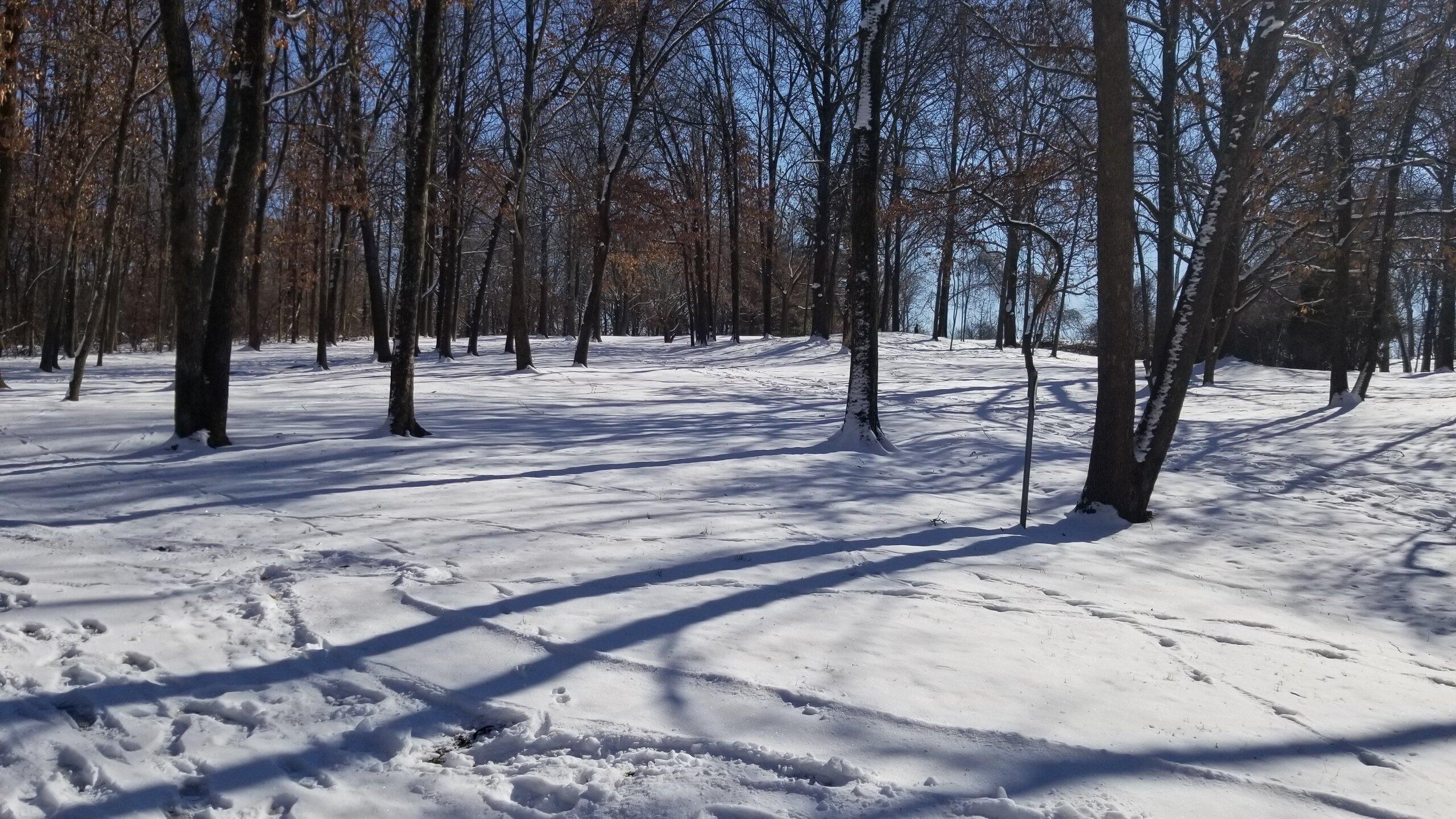 McDonnell County Park