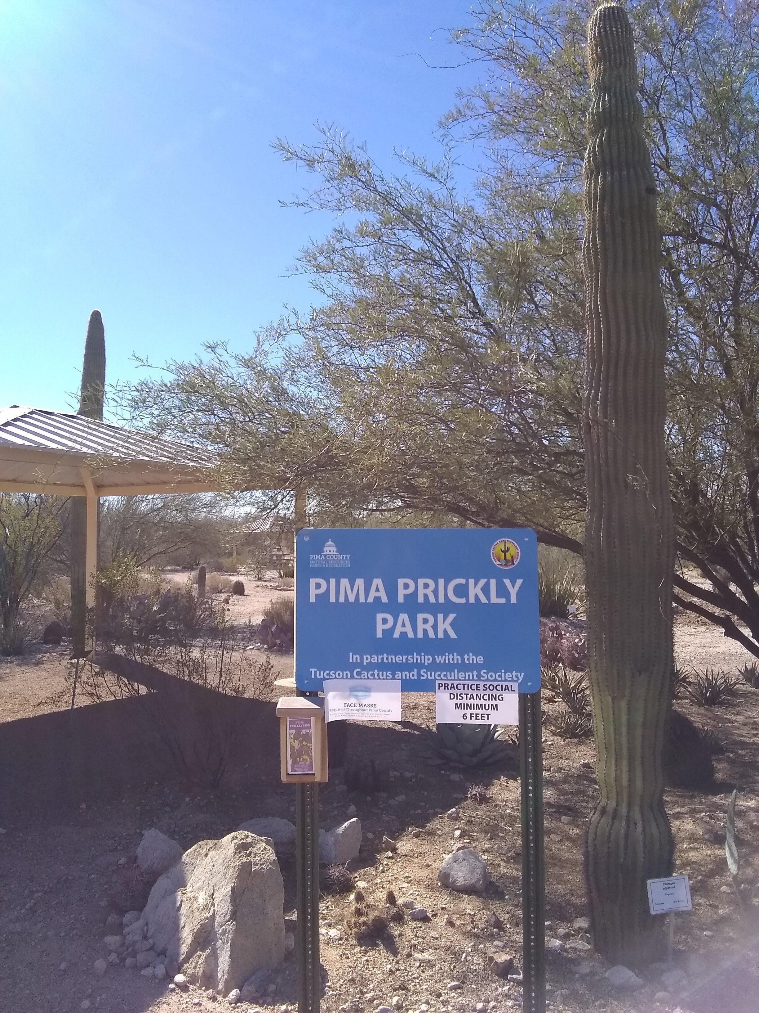 Pima Prickly Park