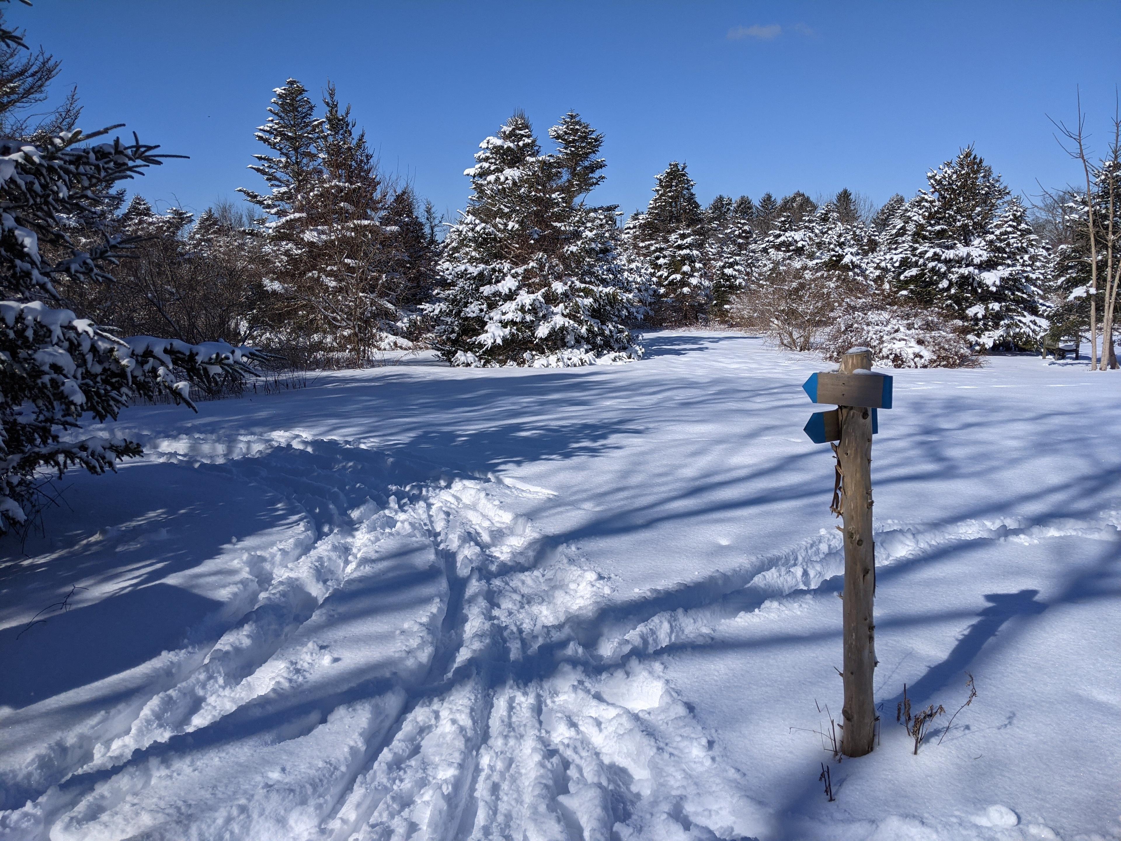 Spruce Acres Farm Trail