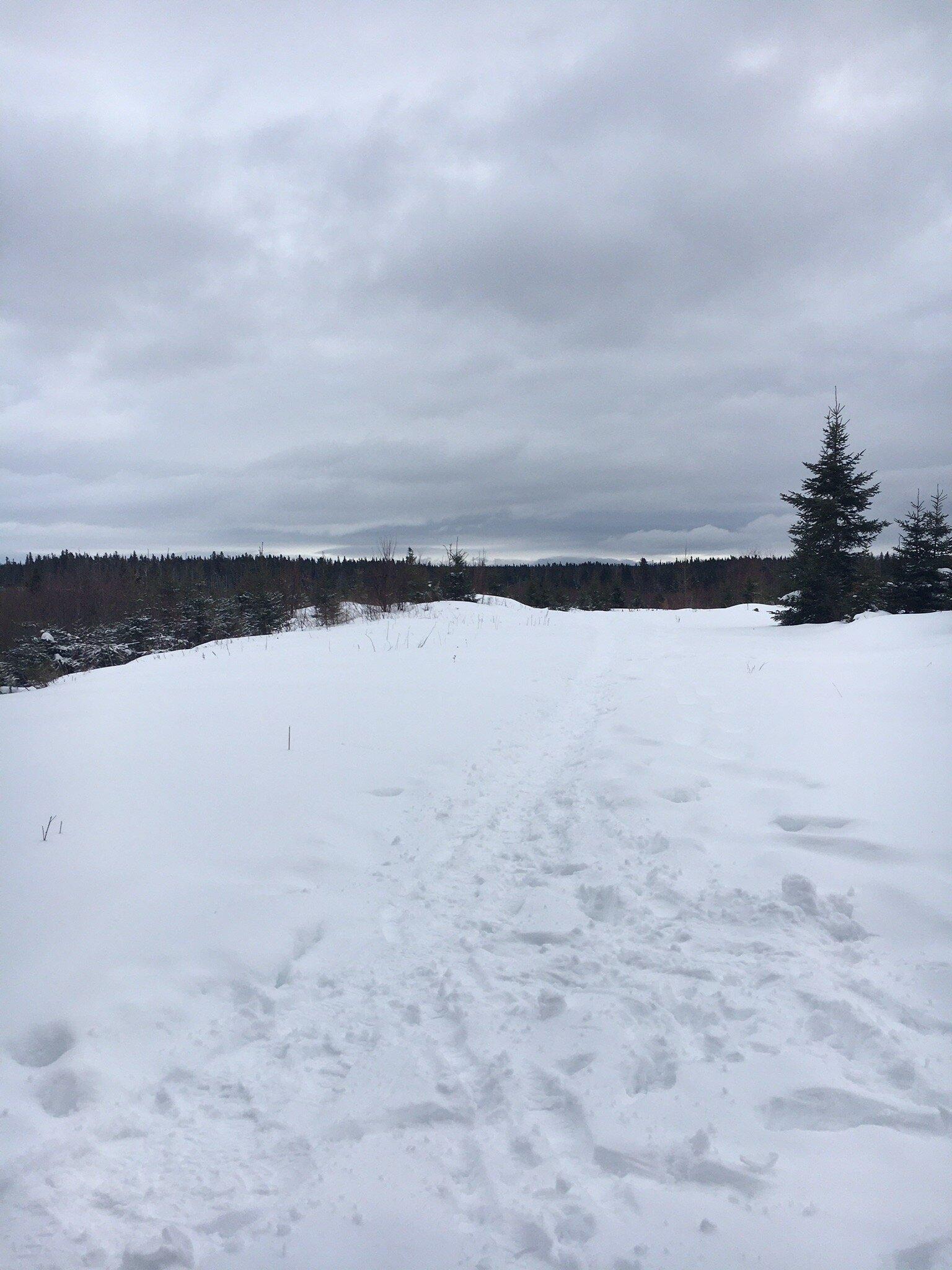 Humber River Trail