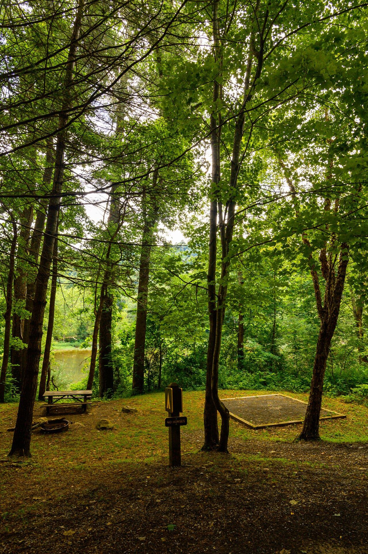 Greenbrier River Trail