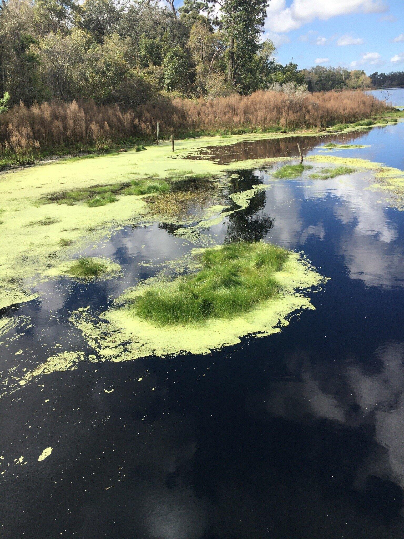 Blackwater Creek Nature Preserve