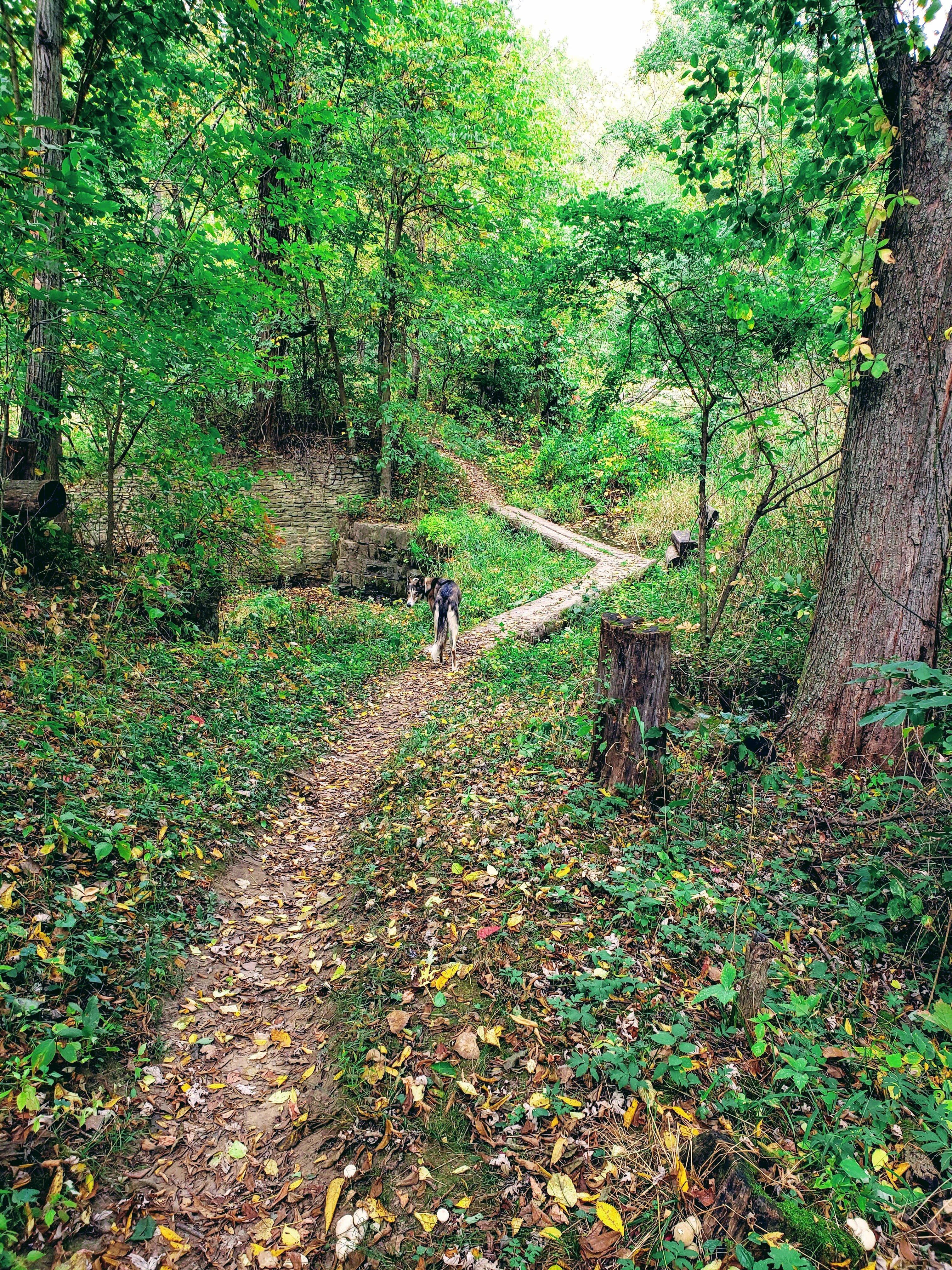 Pine Lake State Park