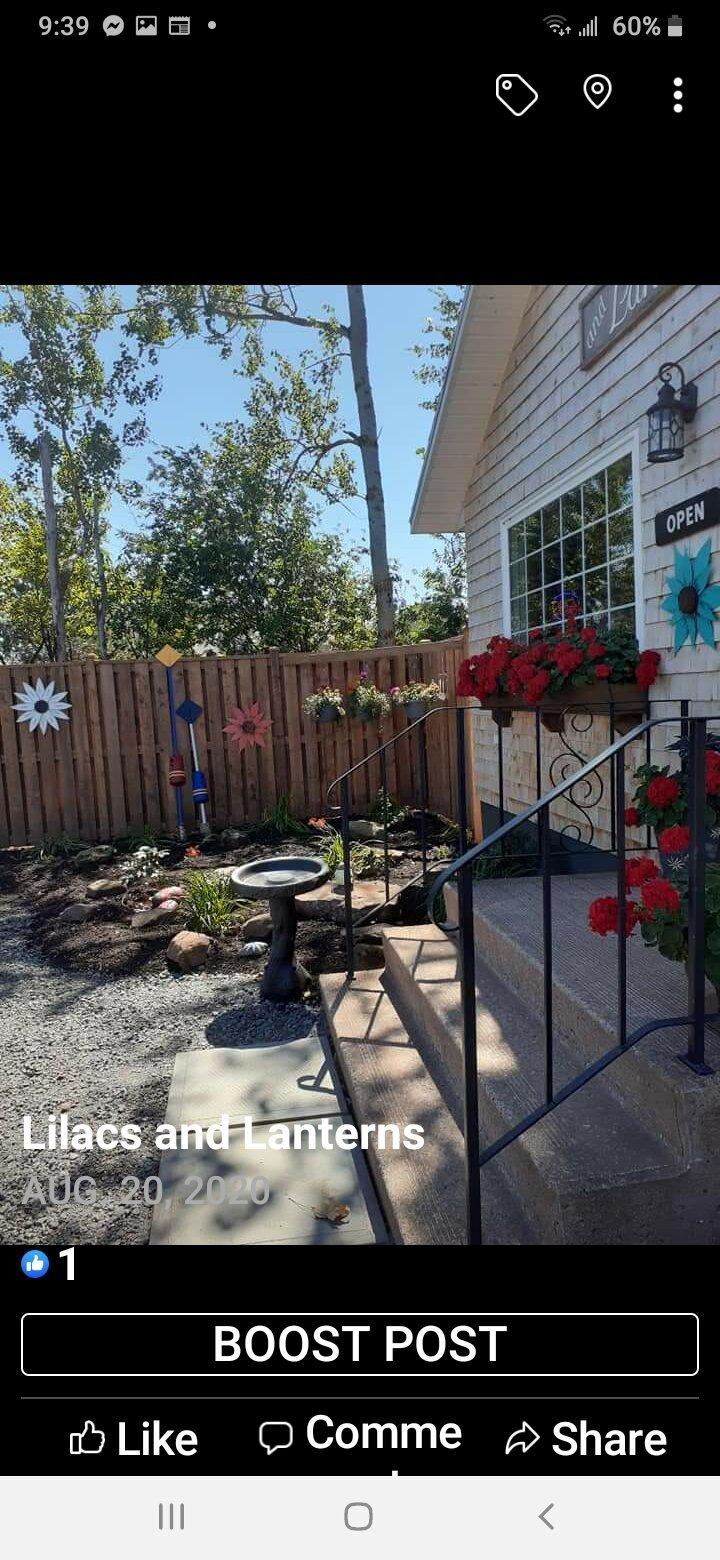 Lilacs And Lanterns