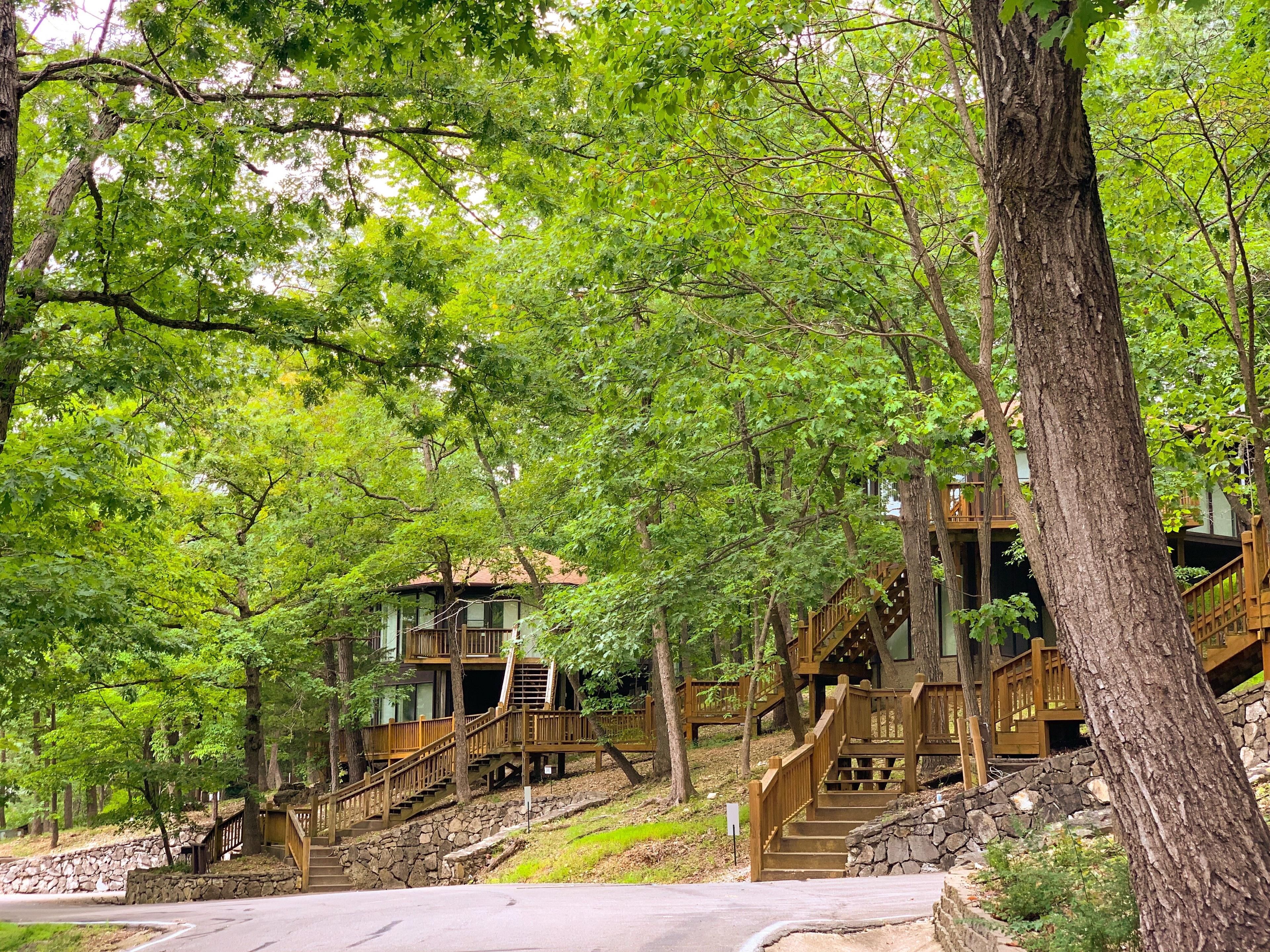 Treetop Village