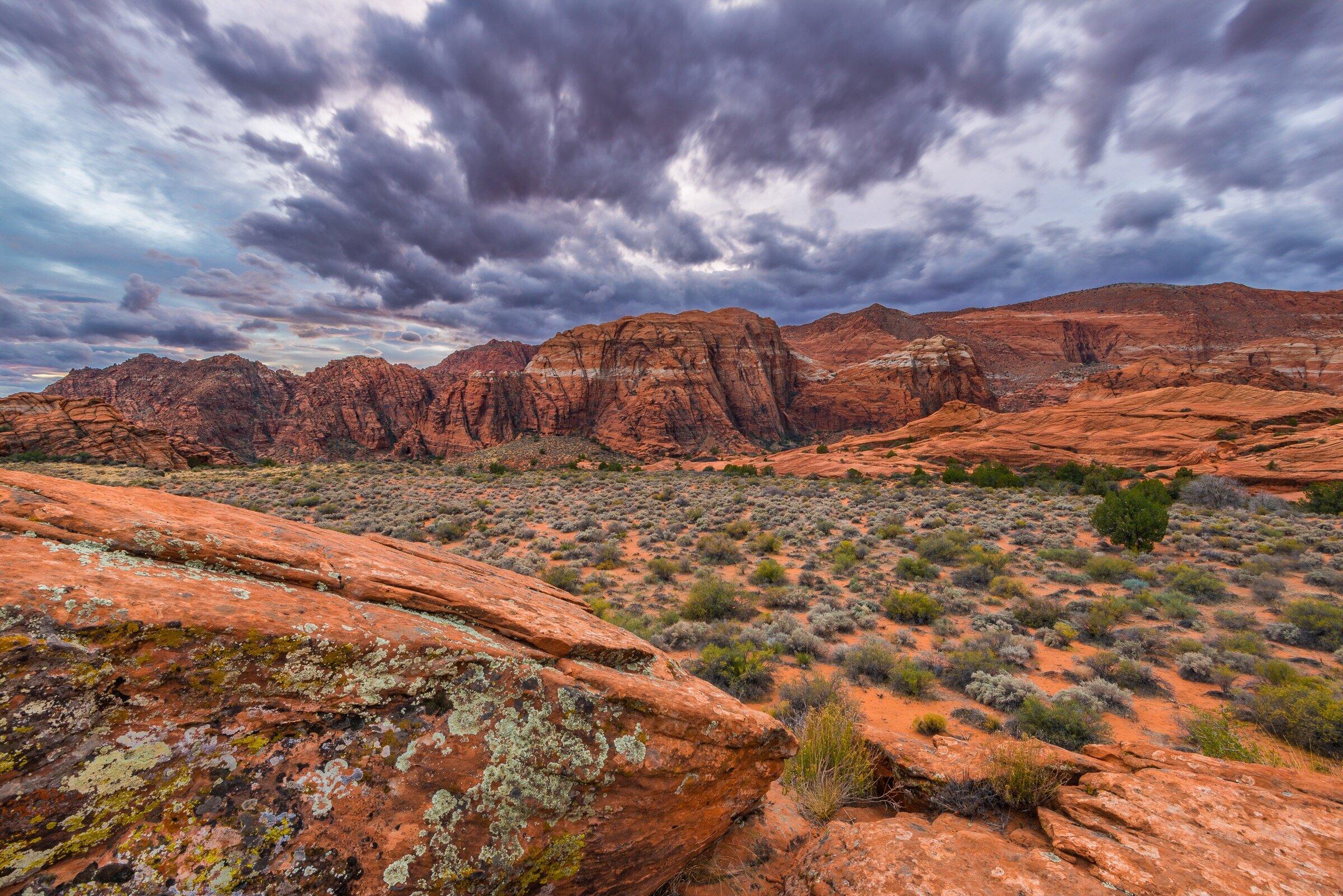 Snow Canyon eBike Rentals