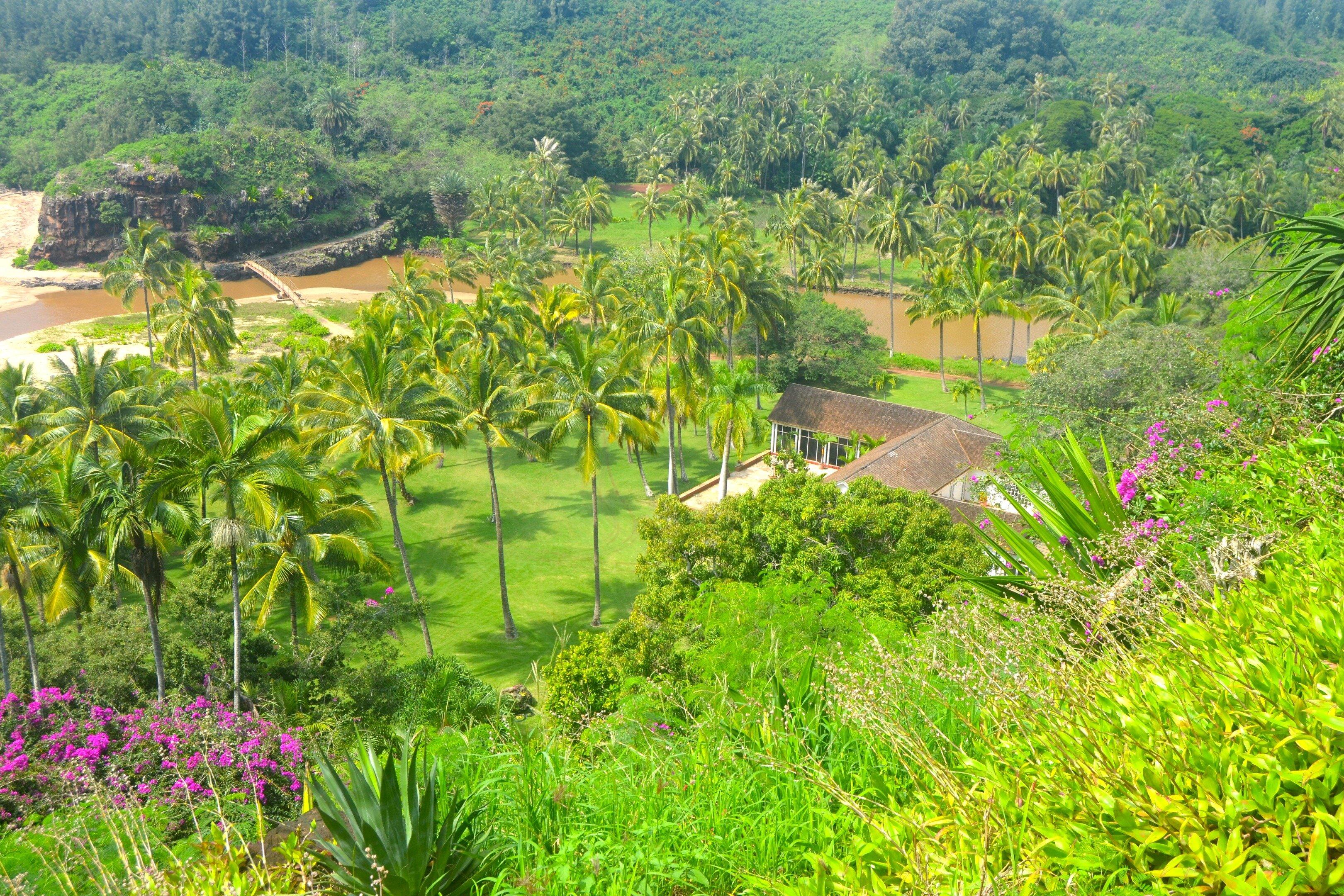 National Tropical Botanical Garden