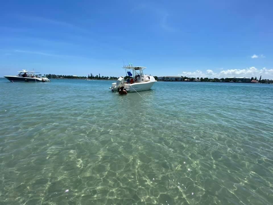 Happy Pineapple Boat Tours