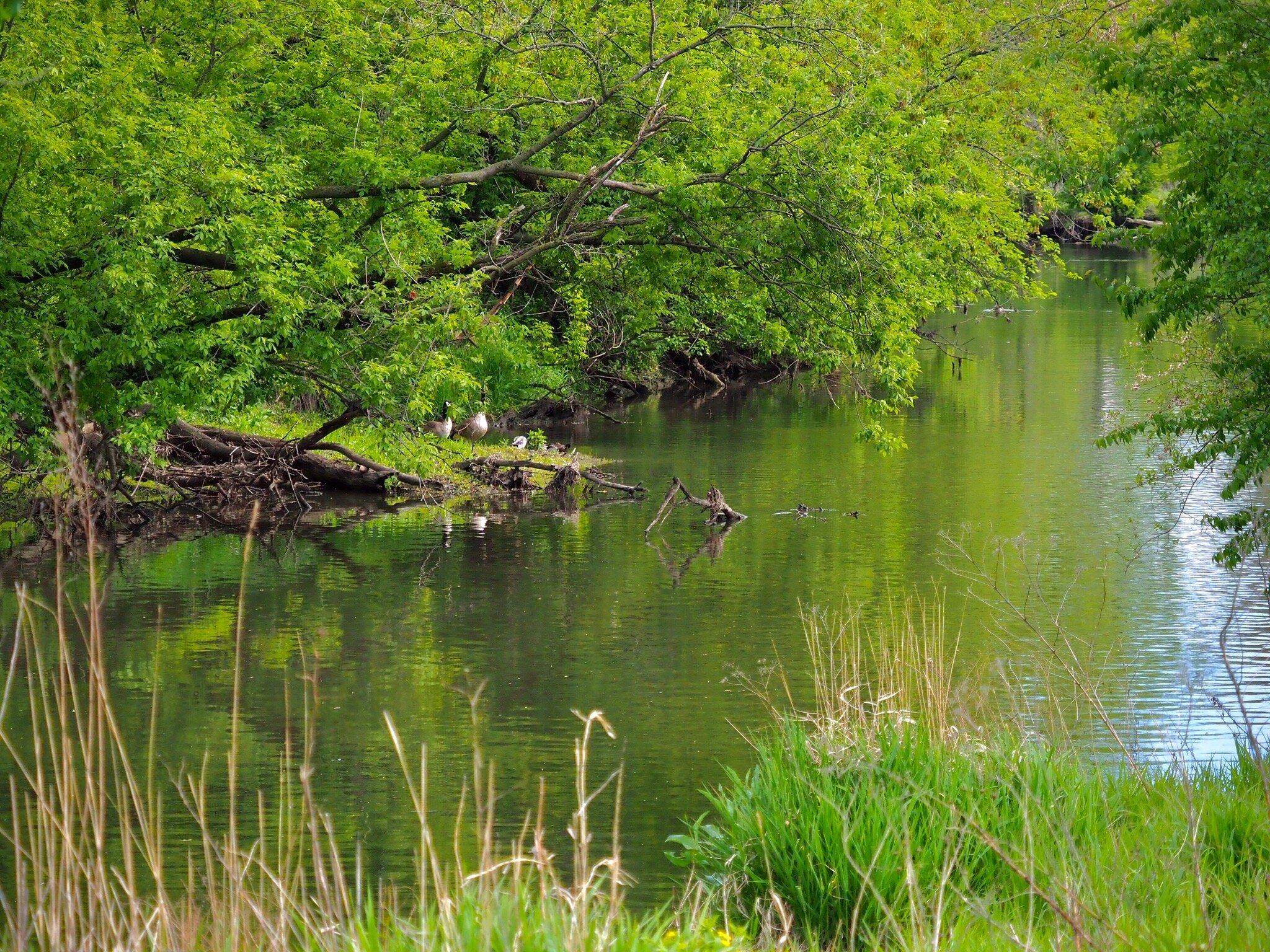 Dean Nature Sanctuary