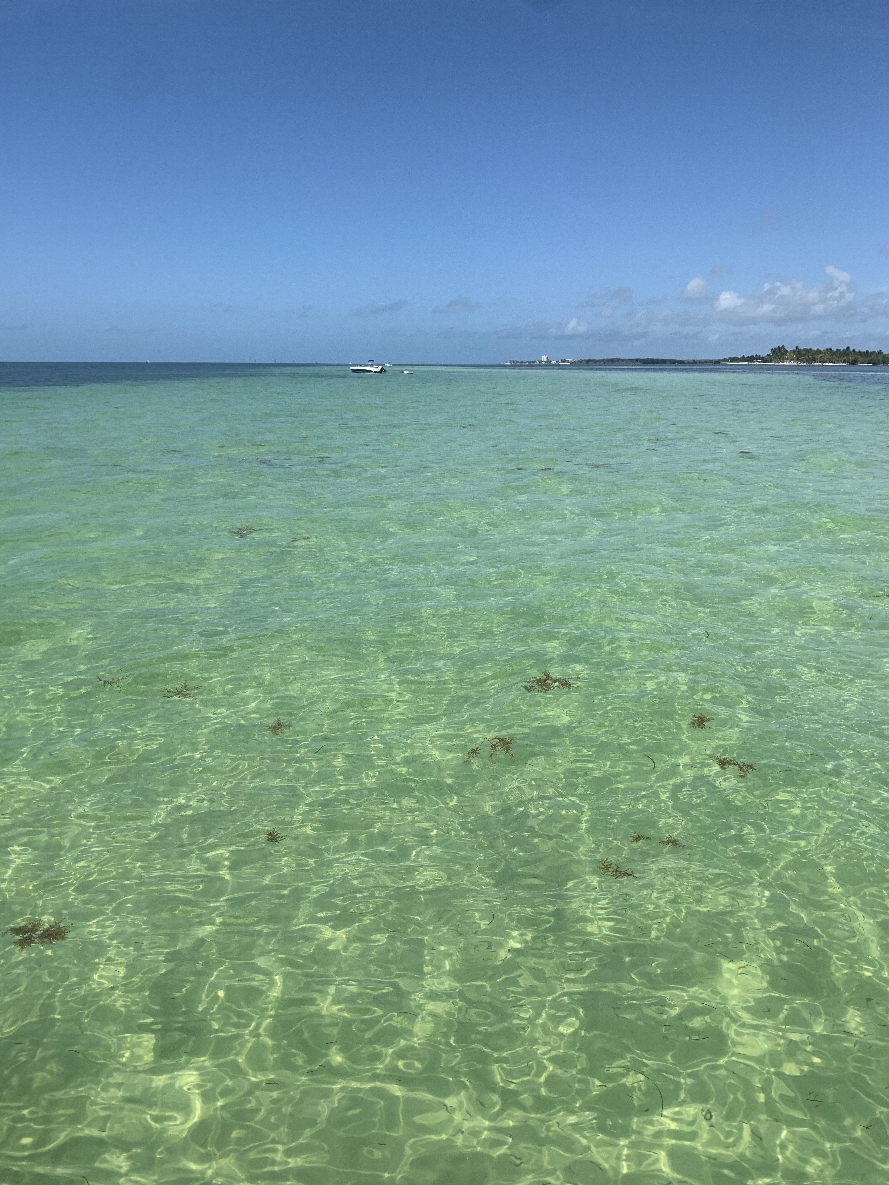 Duck Key Marina