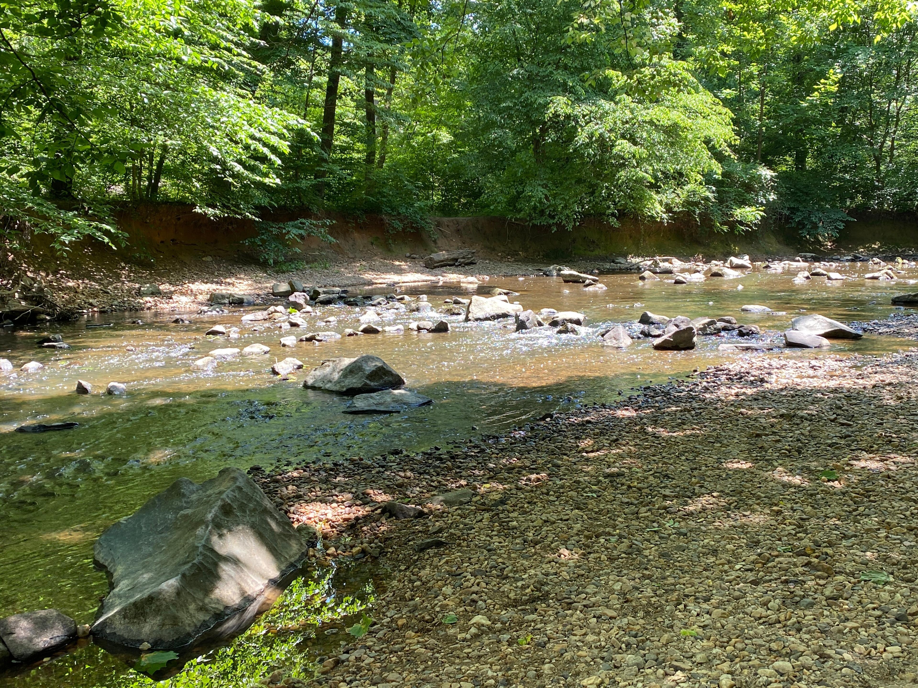 Rittenhouse Park