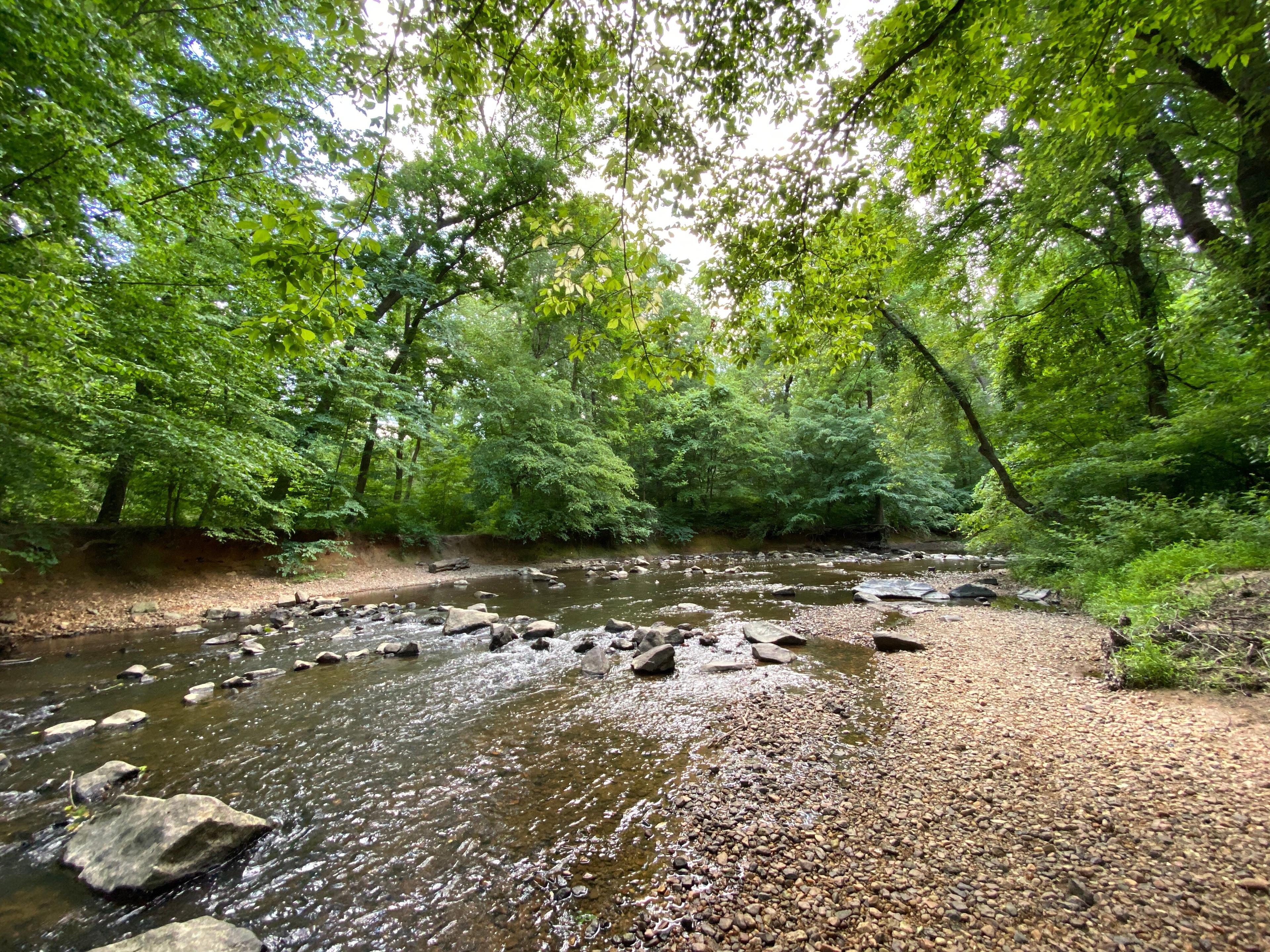 Rittenhouse Park