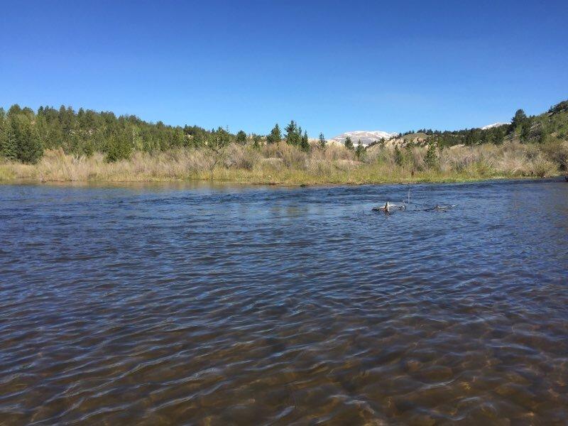 Tumbling Trout Fly Shop