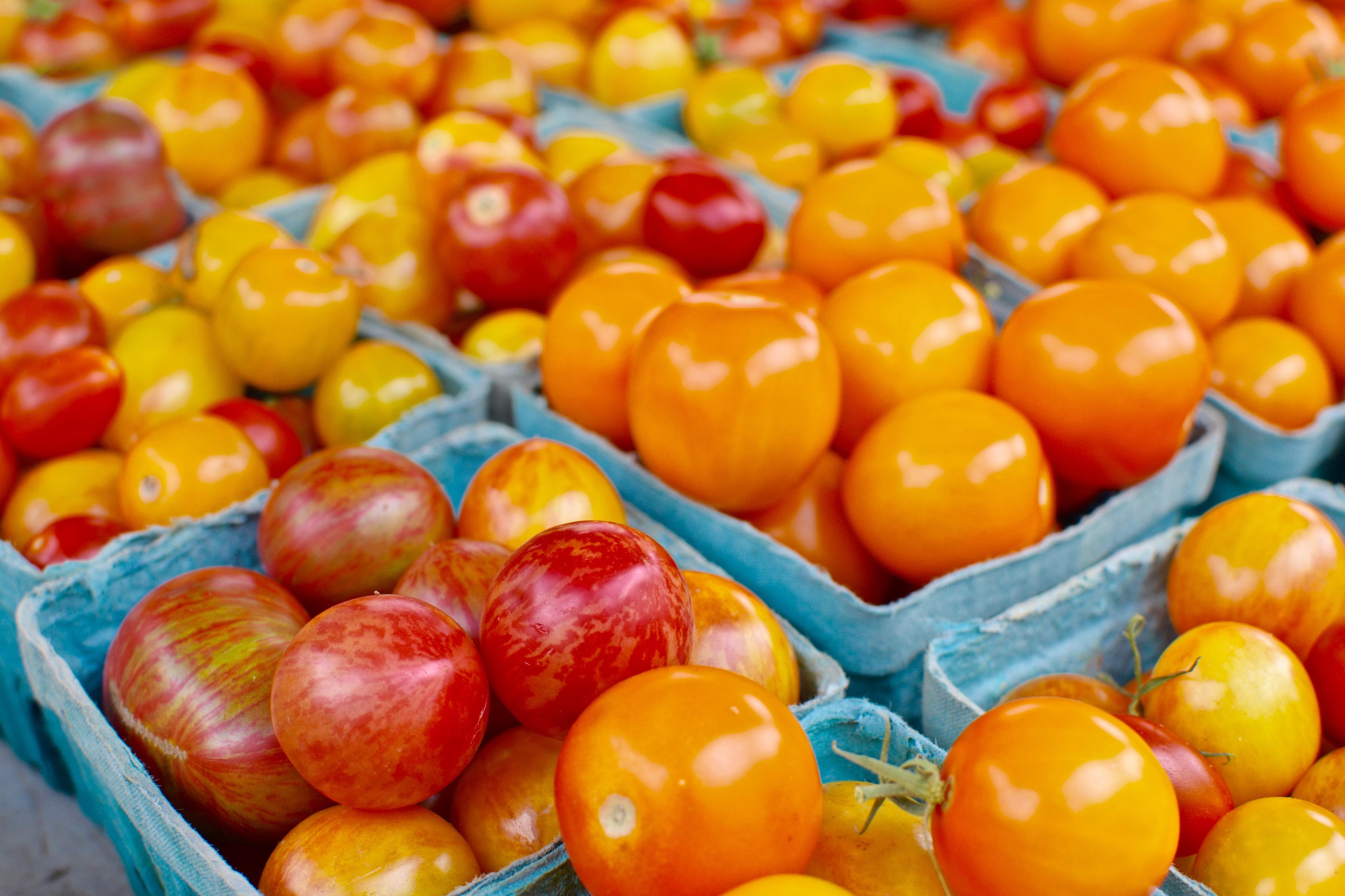 Dane County Farmers' Market