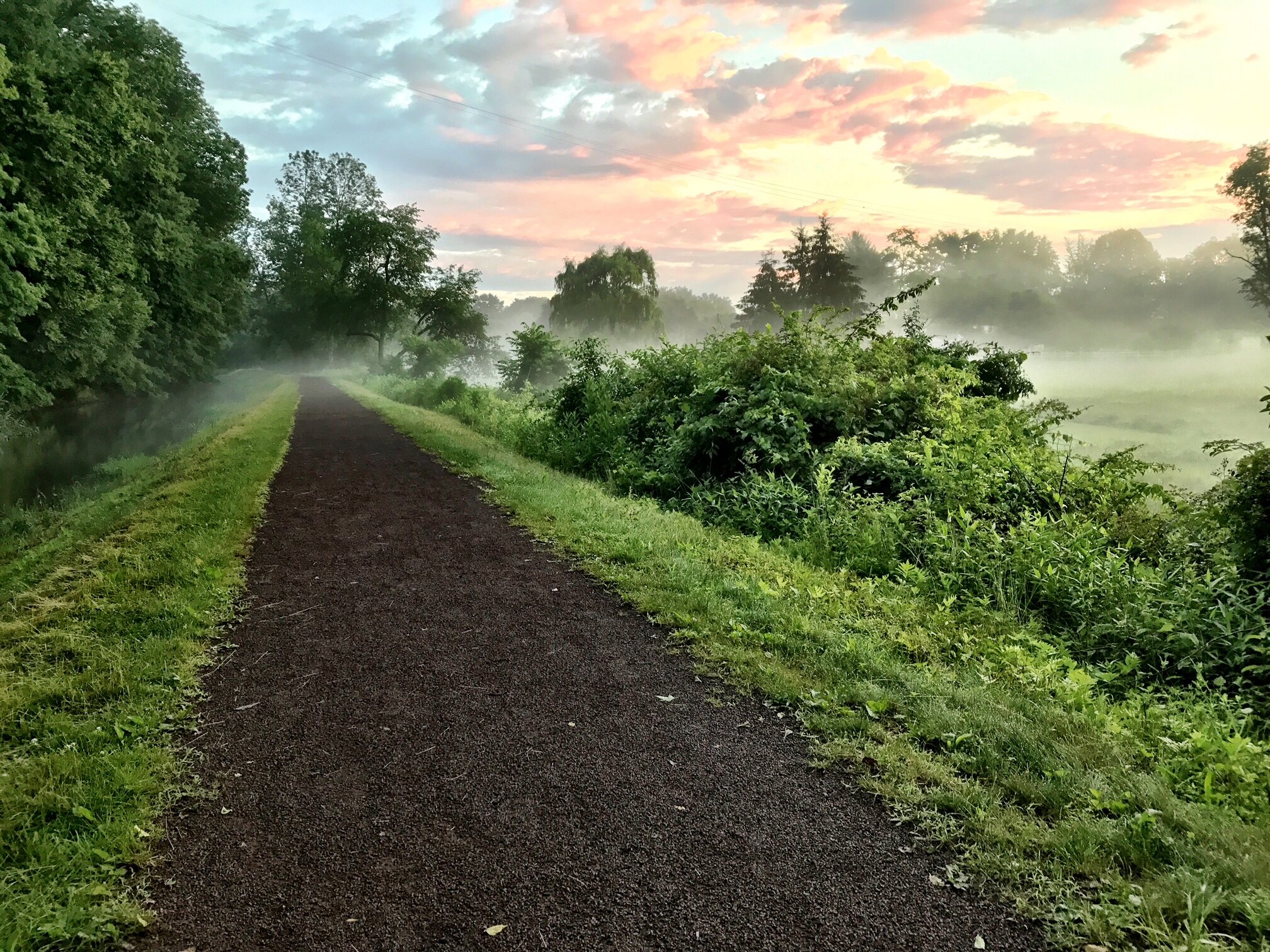 Delaware River Pedal & Paddle