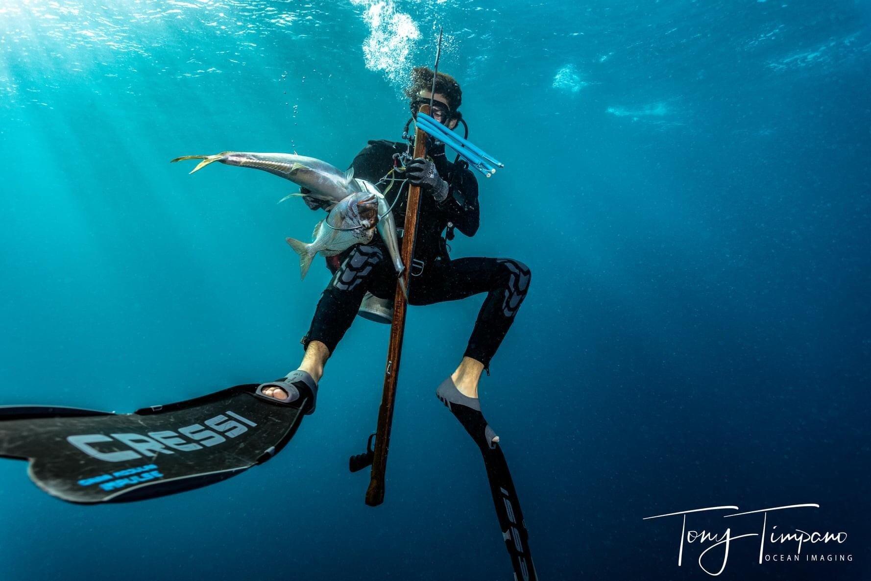 Islamorada Spearfishing Adventures