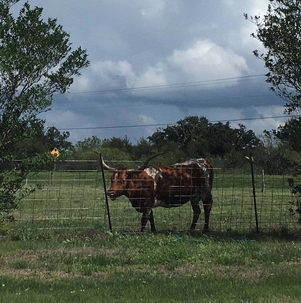 Crowes Nest Farm