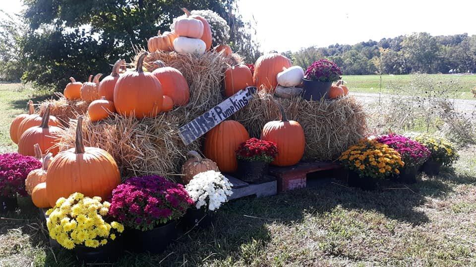 The Ryder Family Farm