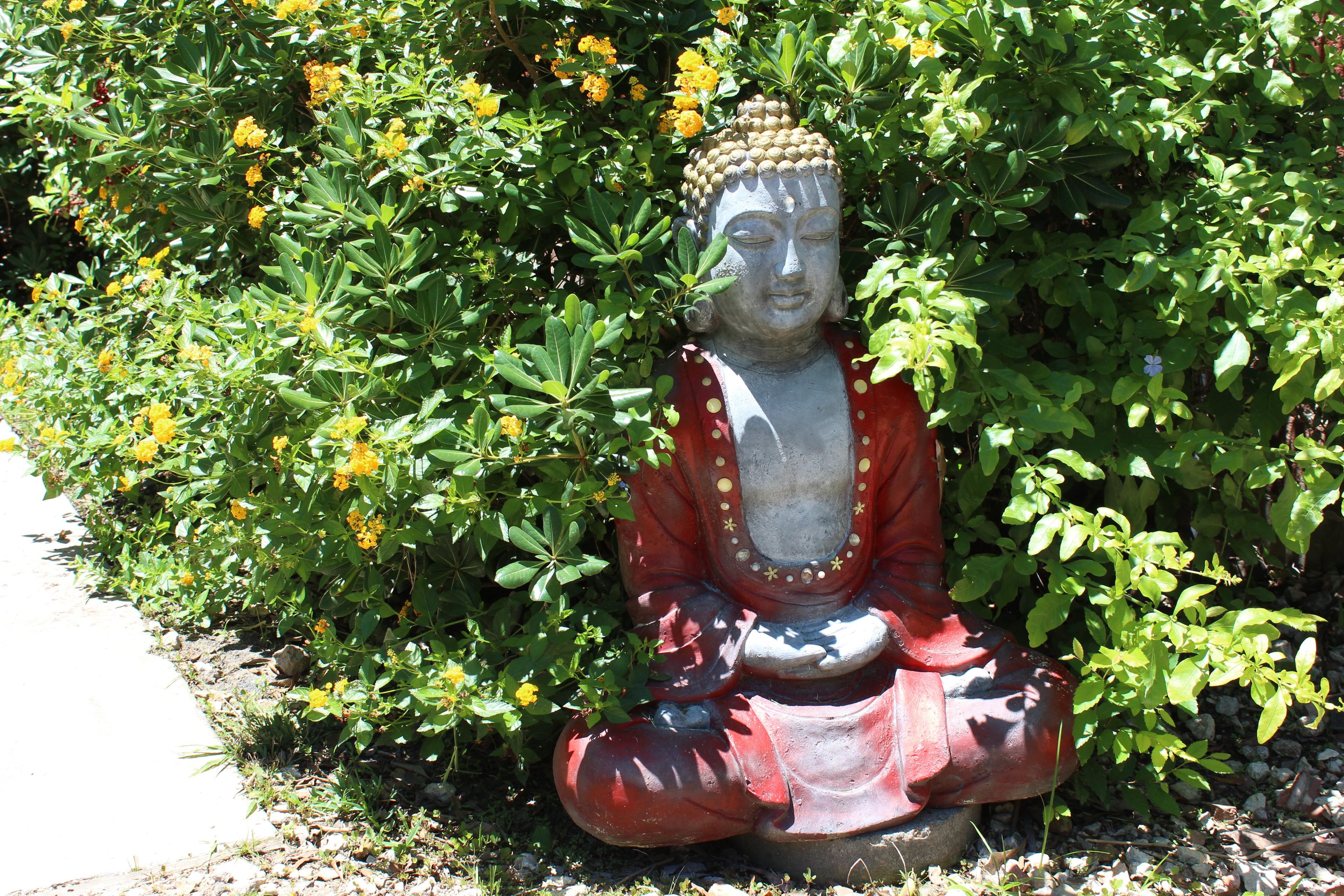 Houston Yoga & Ayurveda Ashram