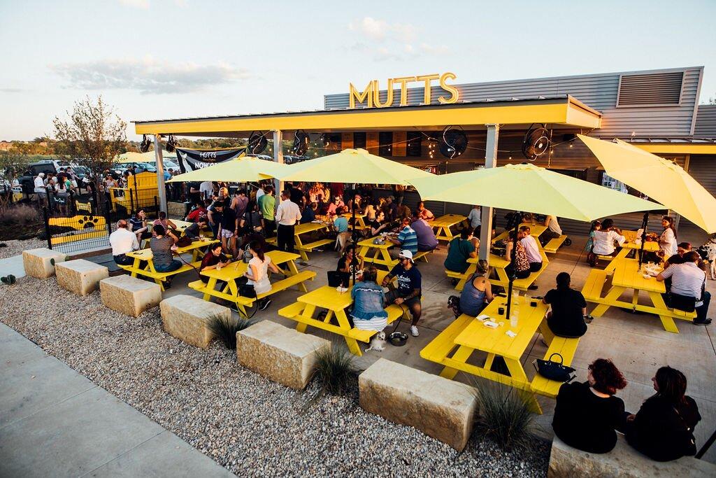 MUTTS Canine Cantina® - Fort Worth