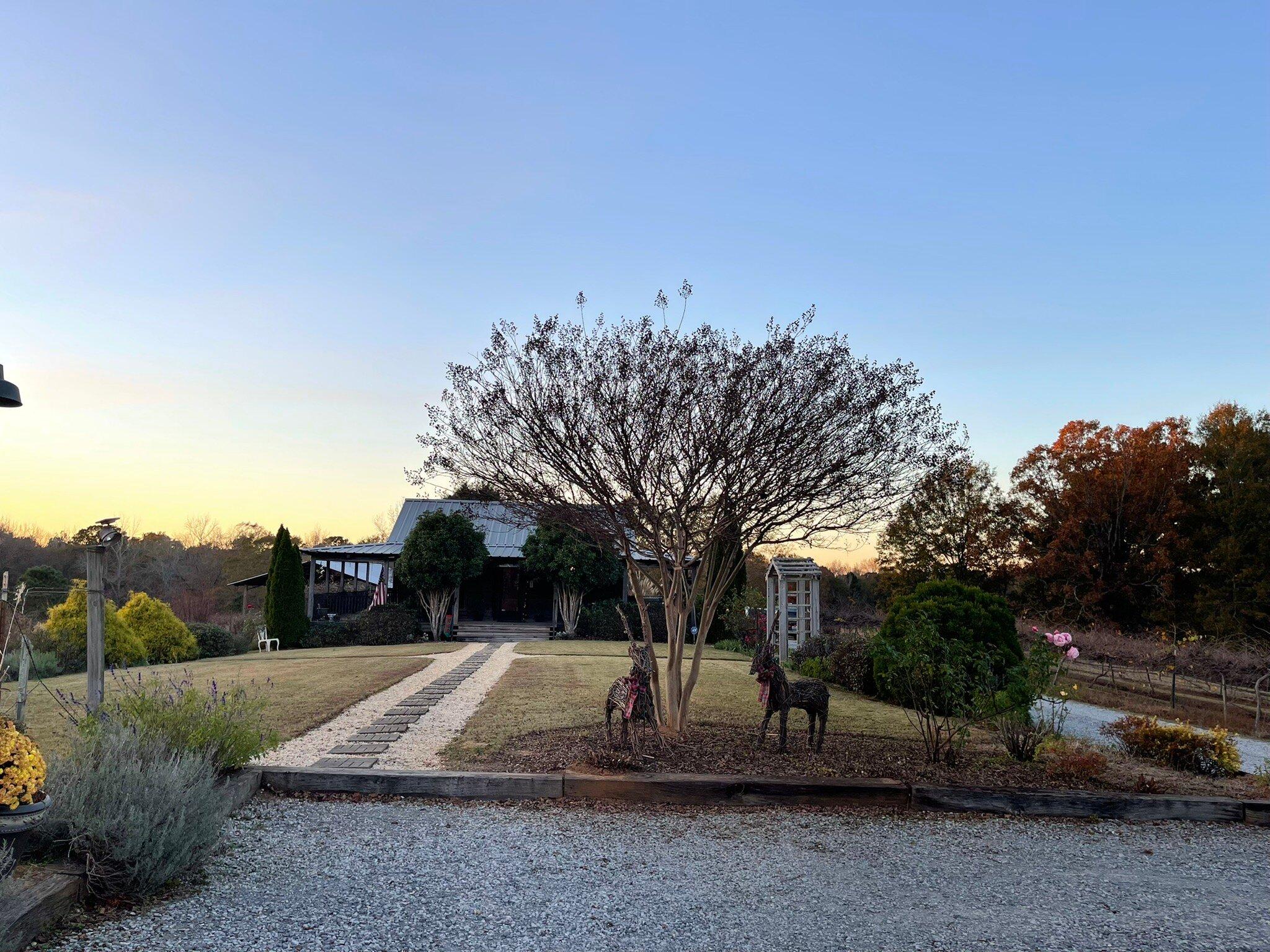 Hidden Meadow Vineyard