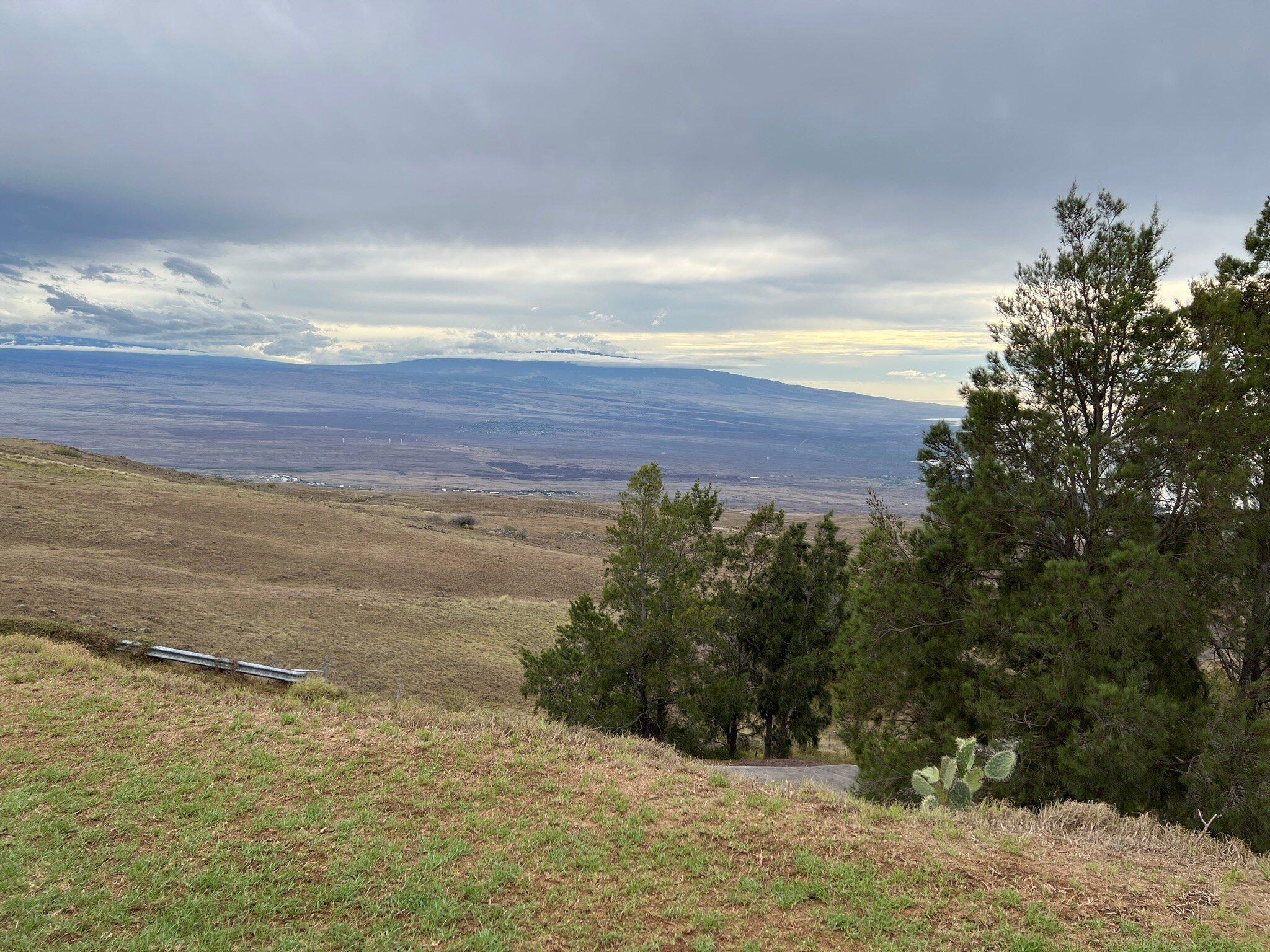 Kohala Mountain Scenic Point