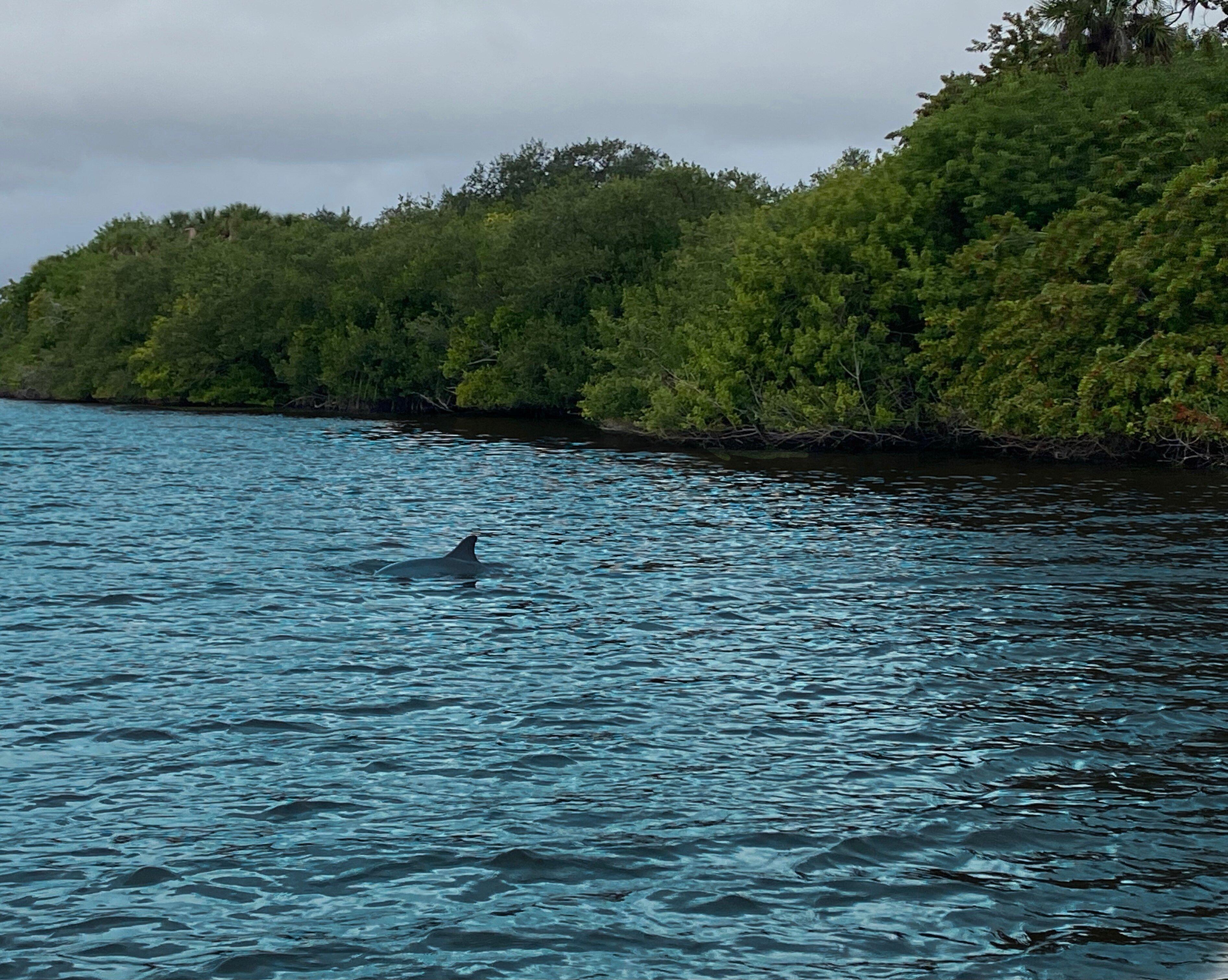 Coastal Lagoon Tours