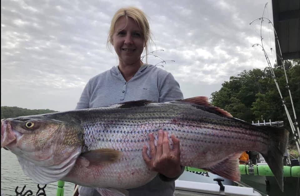 Baileys Beaver Lake Striper Guide Service