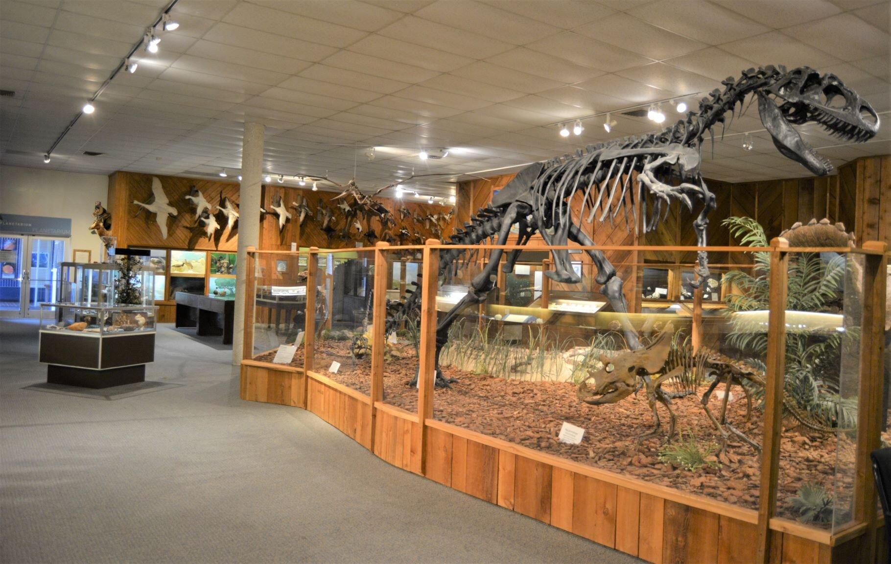 Brazosport Museum of Natural Science