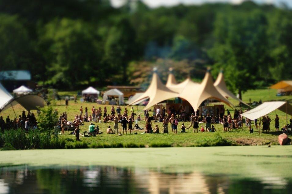 The Firefly Gathering