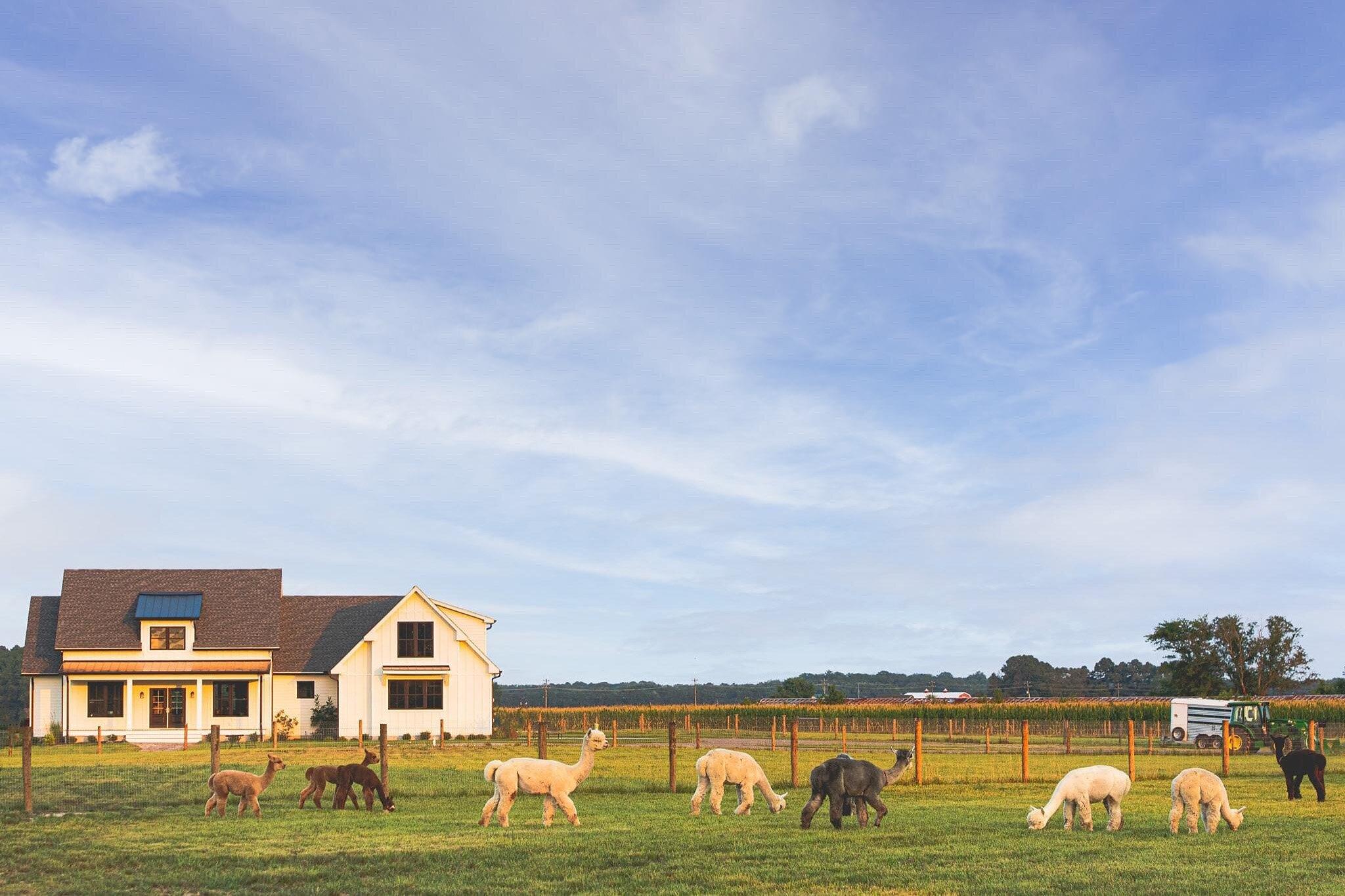 Four Acres Living Alpaca Farm