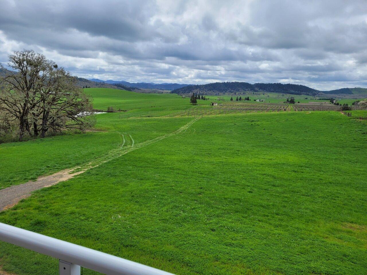 Meadows Estate Vineyard and Winery