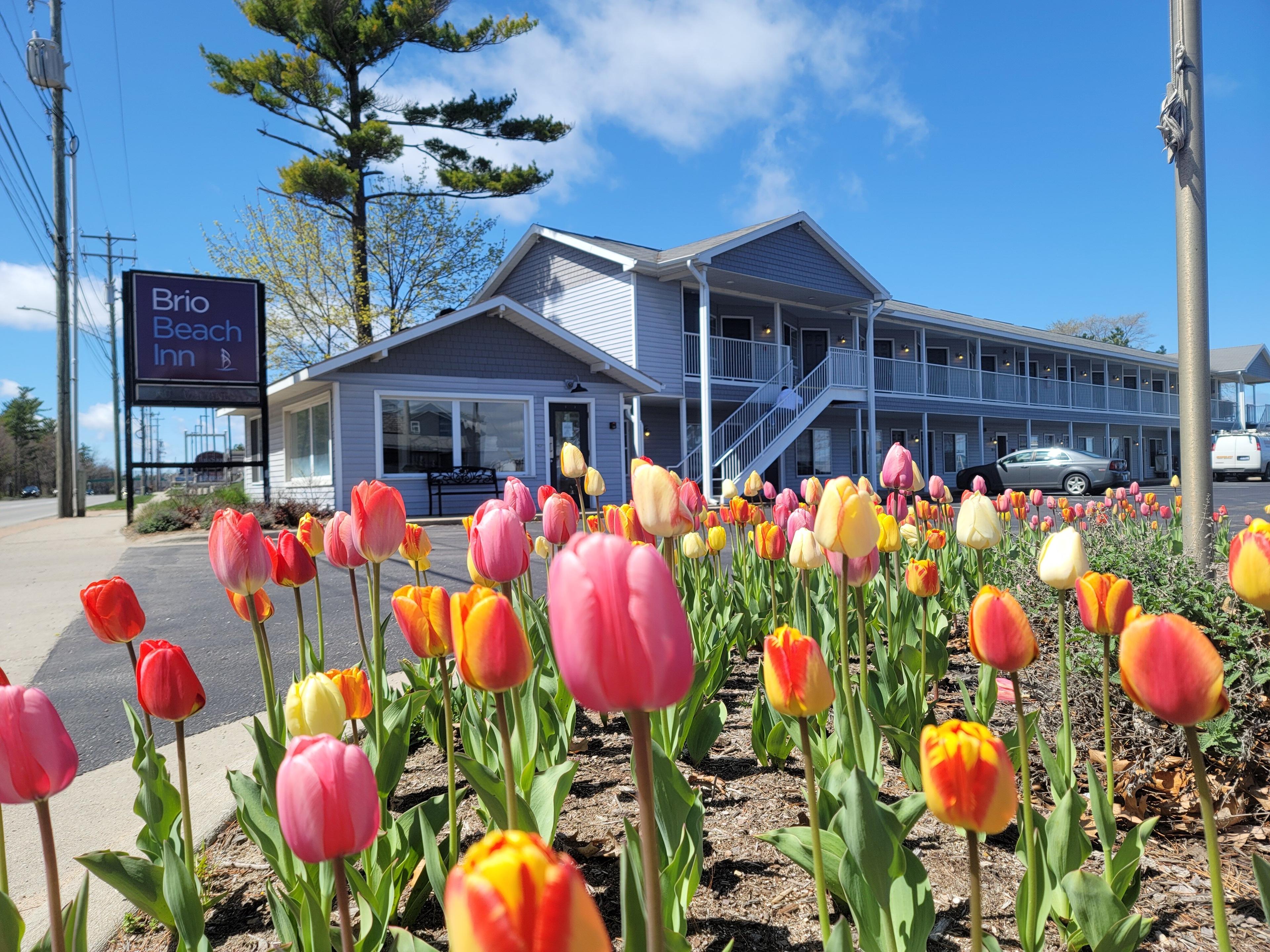 Brio Beach Inn