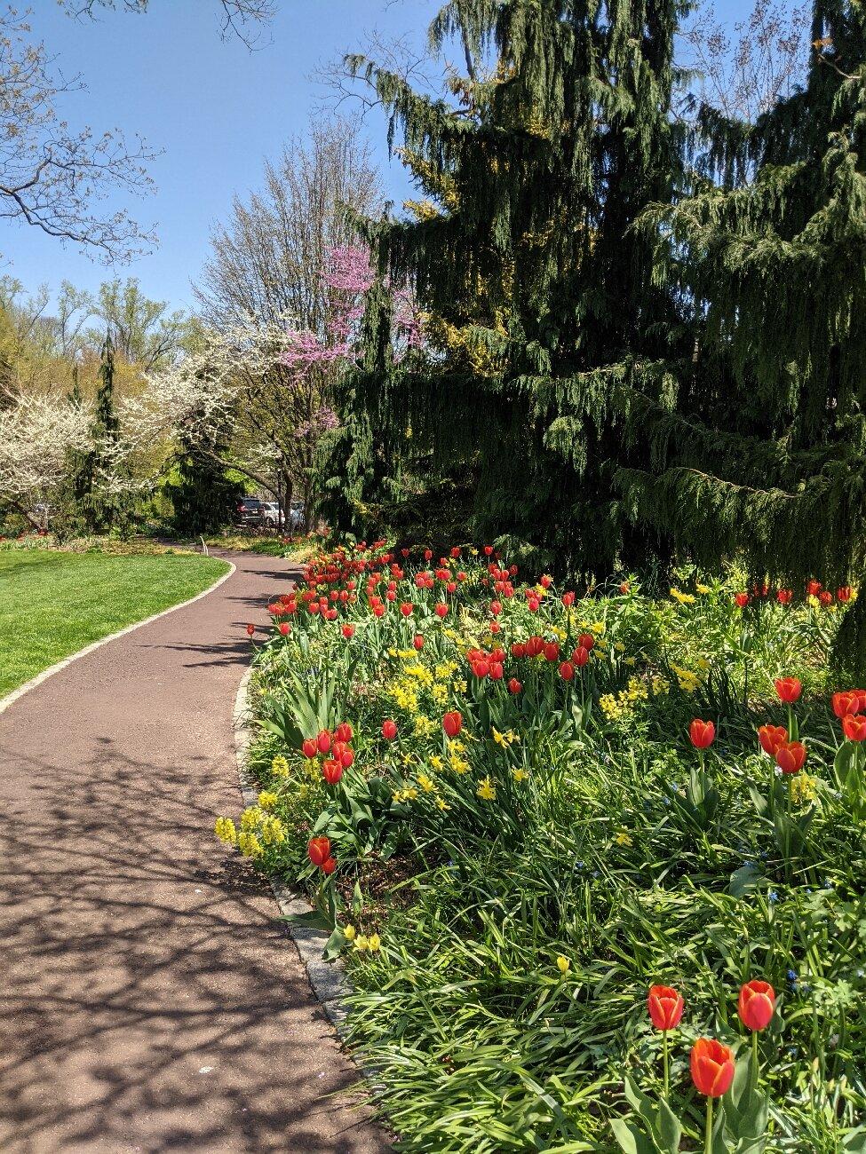 Chanticleer, a pleasure garden