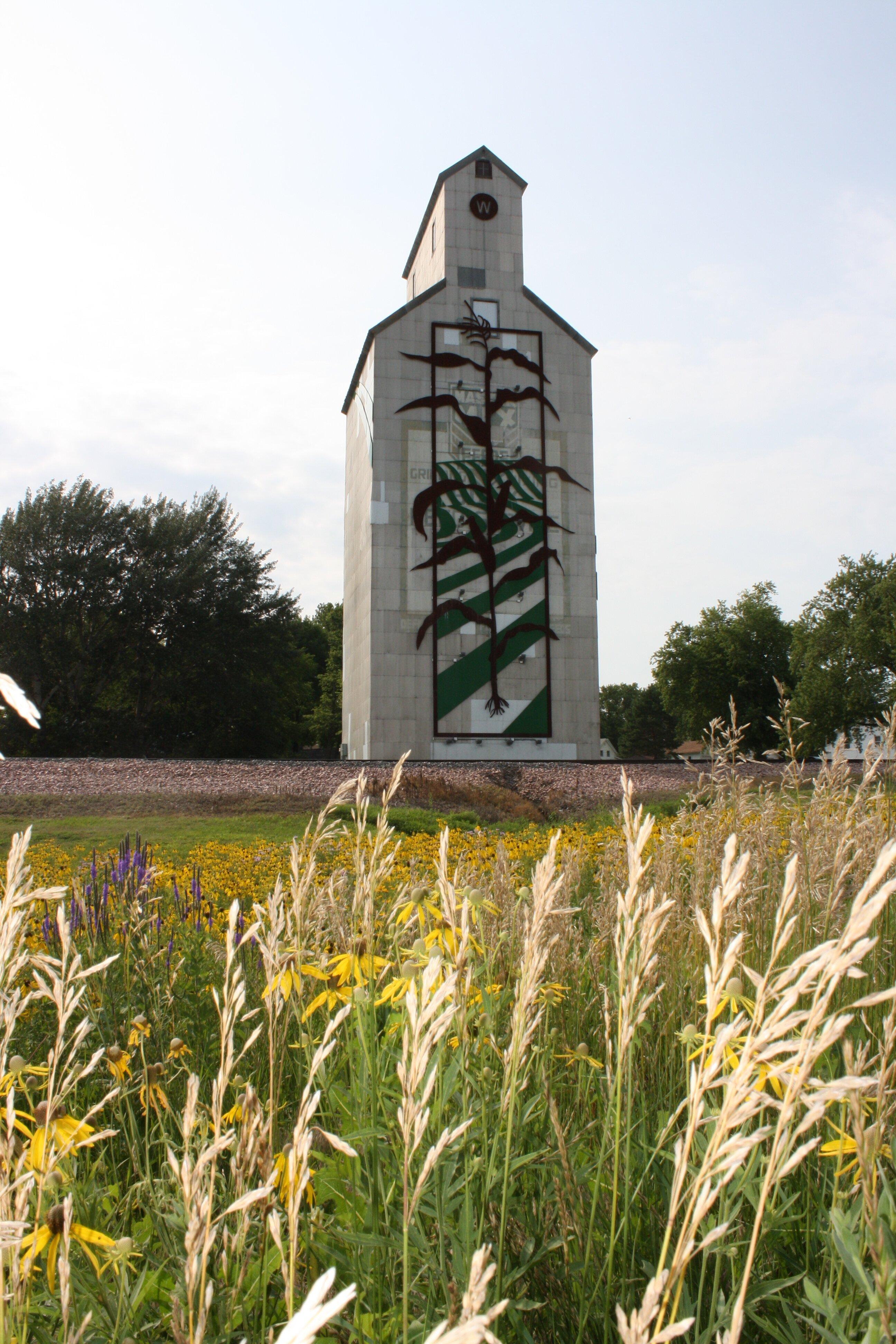 45 Ft Corn Stalk Grain Elevator