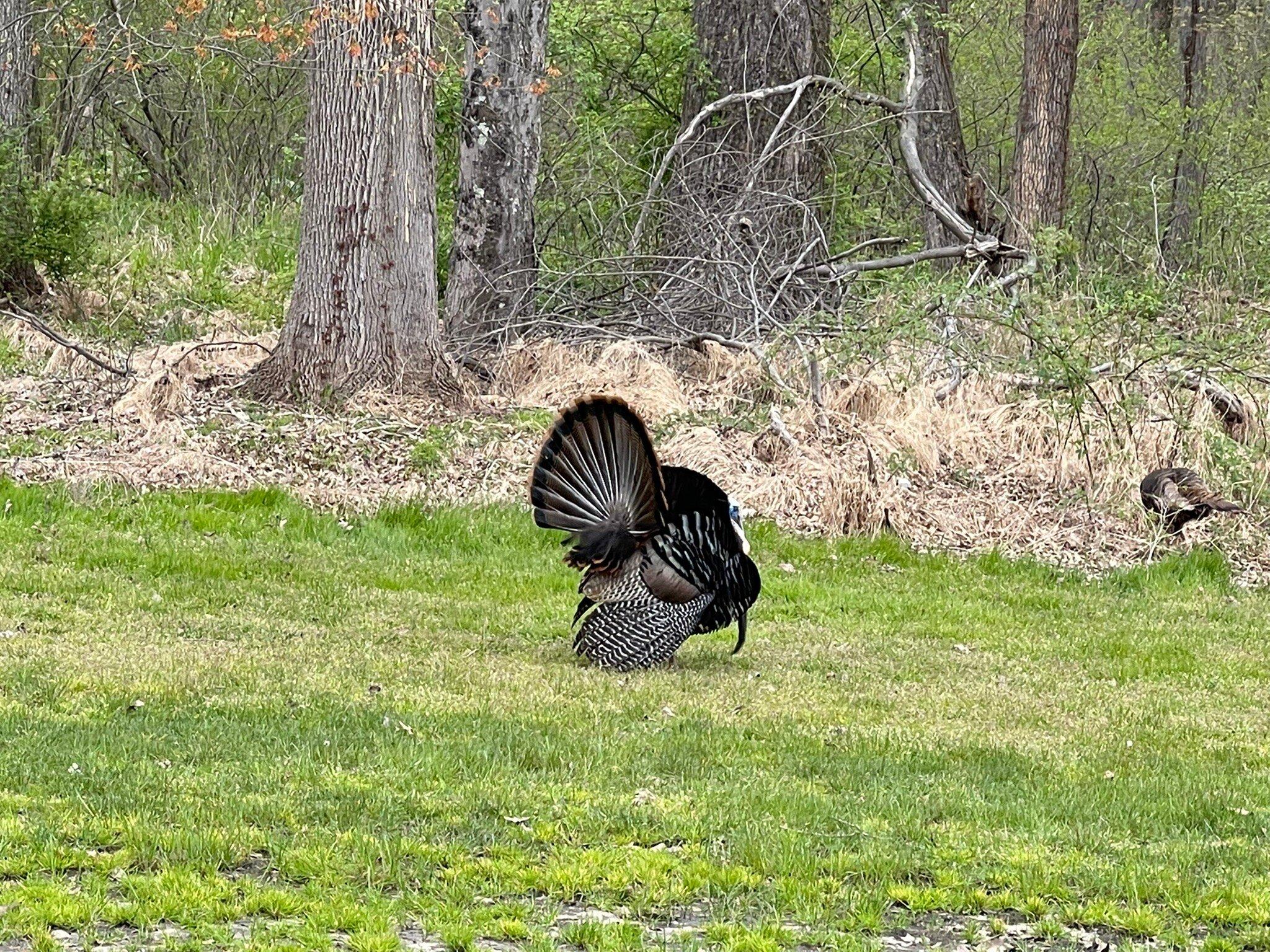 Ash Brook Golf Course